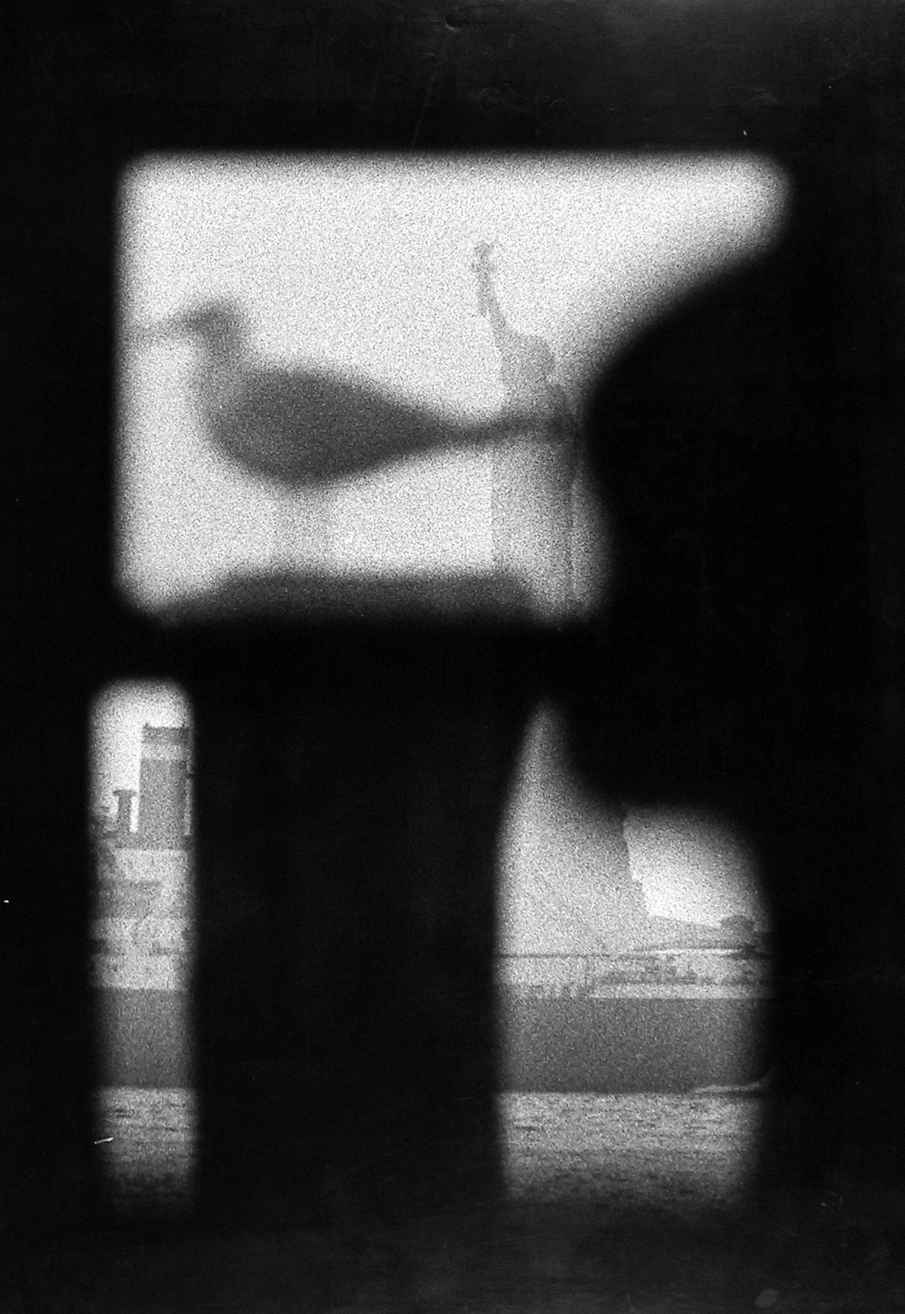 Bruce Davidson Inside/Outside Howard Greenberg Gallery 2003