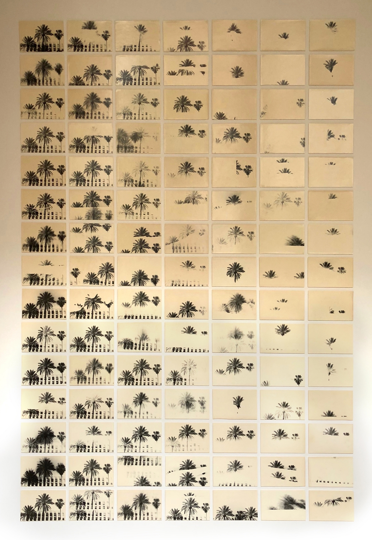 Bruno Roels: A Palm Tree is a Palm Tree is a Palm Tree, Howard Greenberg Gallery, 2018