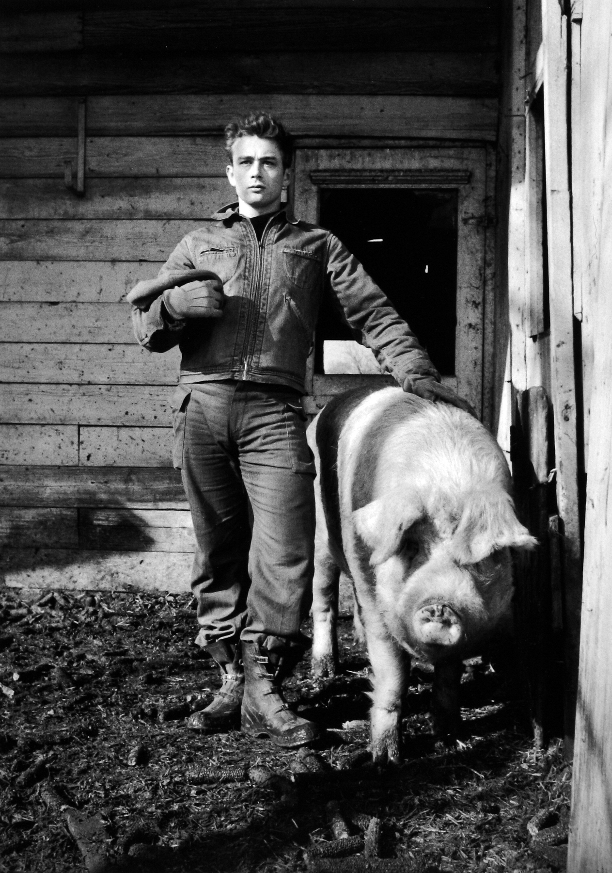 Dennis Stock: Altered States 2009 Howard Greenberg Gallery