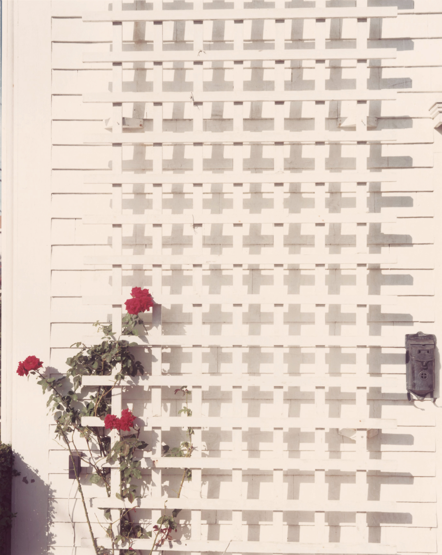 Joel Meyerowitz - 50 Years of Photographs Part II: 1976 - 2012 2012 Howard Greenberg Gallery