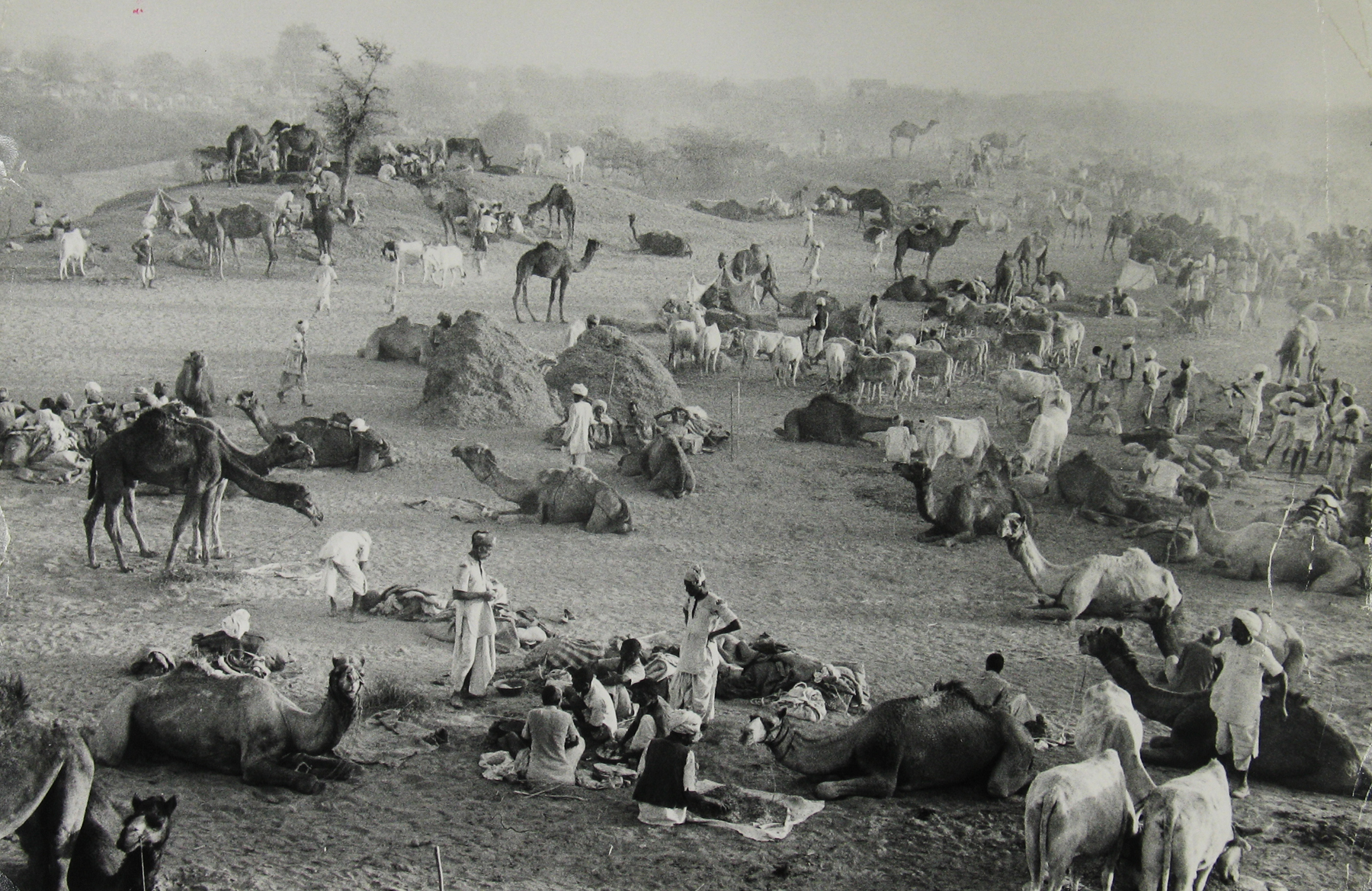 Marc Riboud: Home on the road 2008 Howard Greenberg Gallery