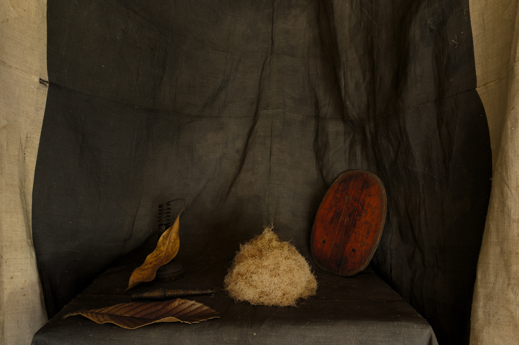 Joel Meyerowitz - The Effect of France 2014 howard greenberg gallery