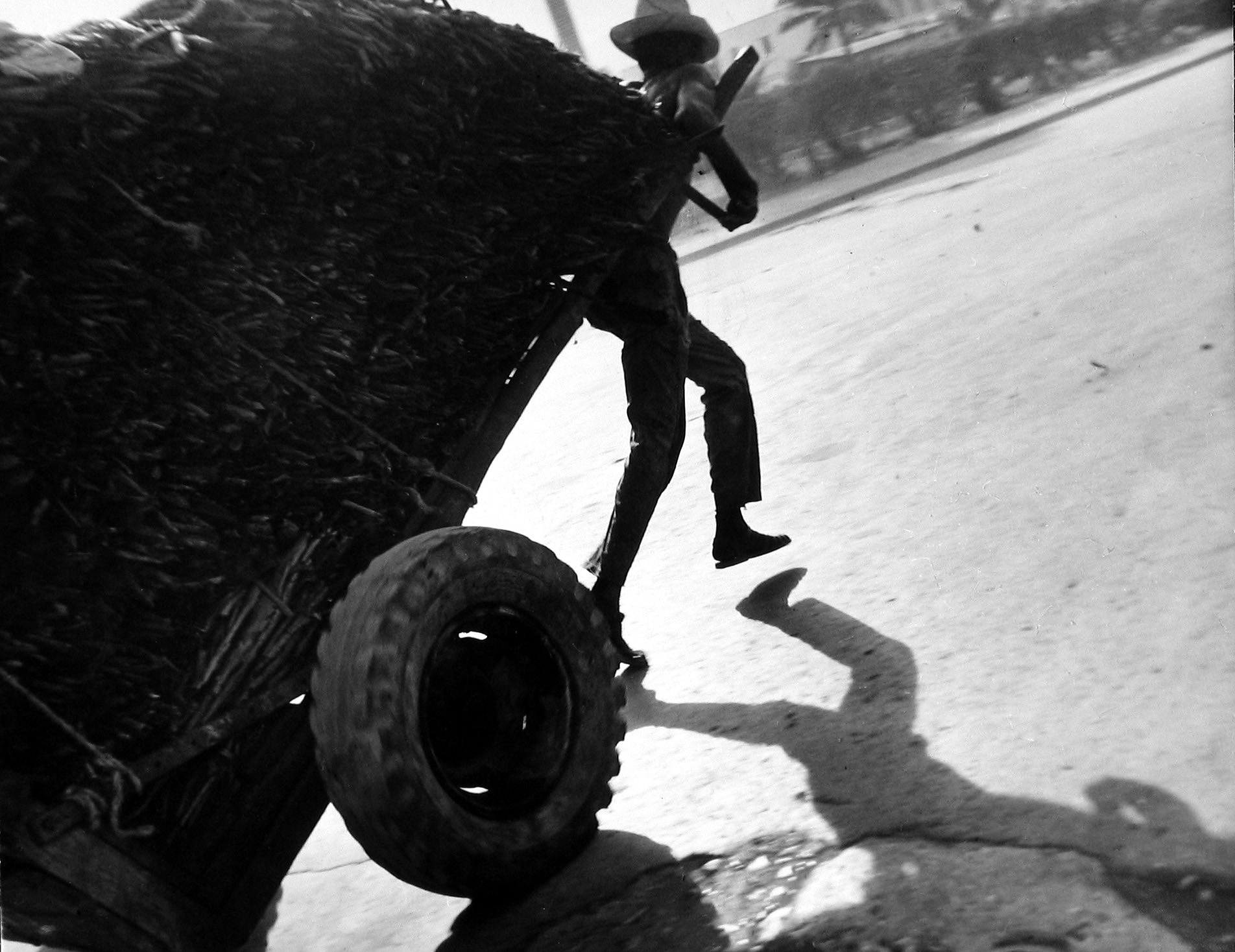 Staff Picks VI - Howard Greenberg Gallery - 2017