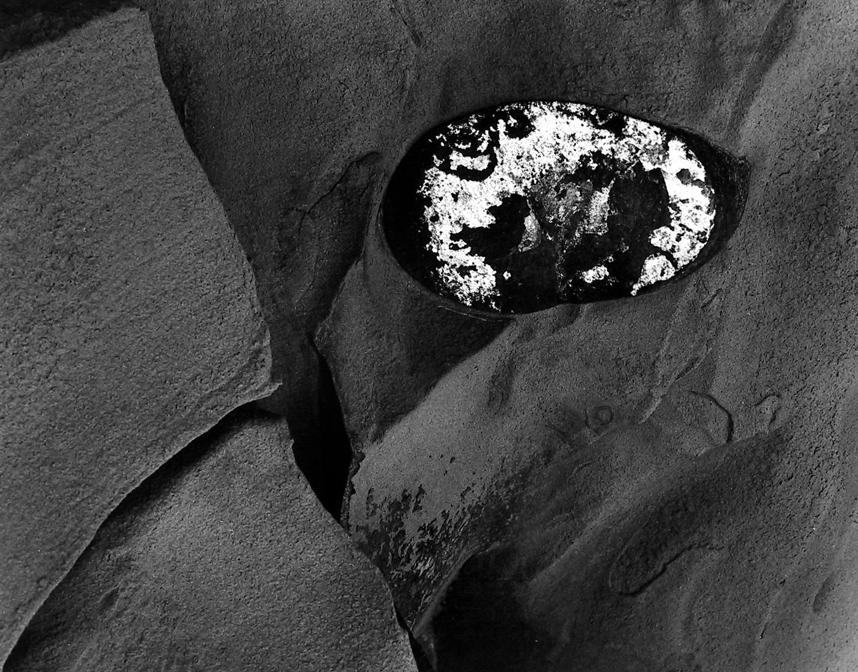 Minor White: Eye Mind Spirit 2008 Howard Greenberg Gallery