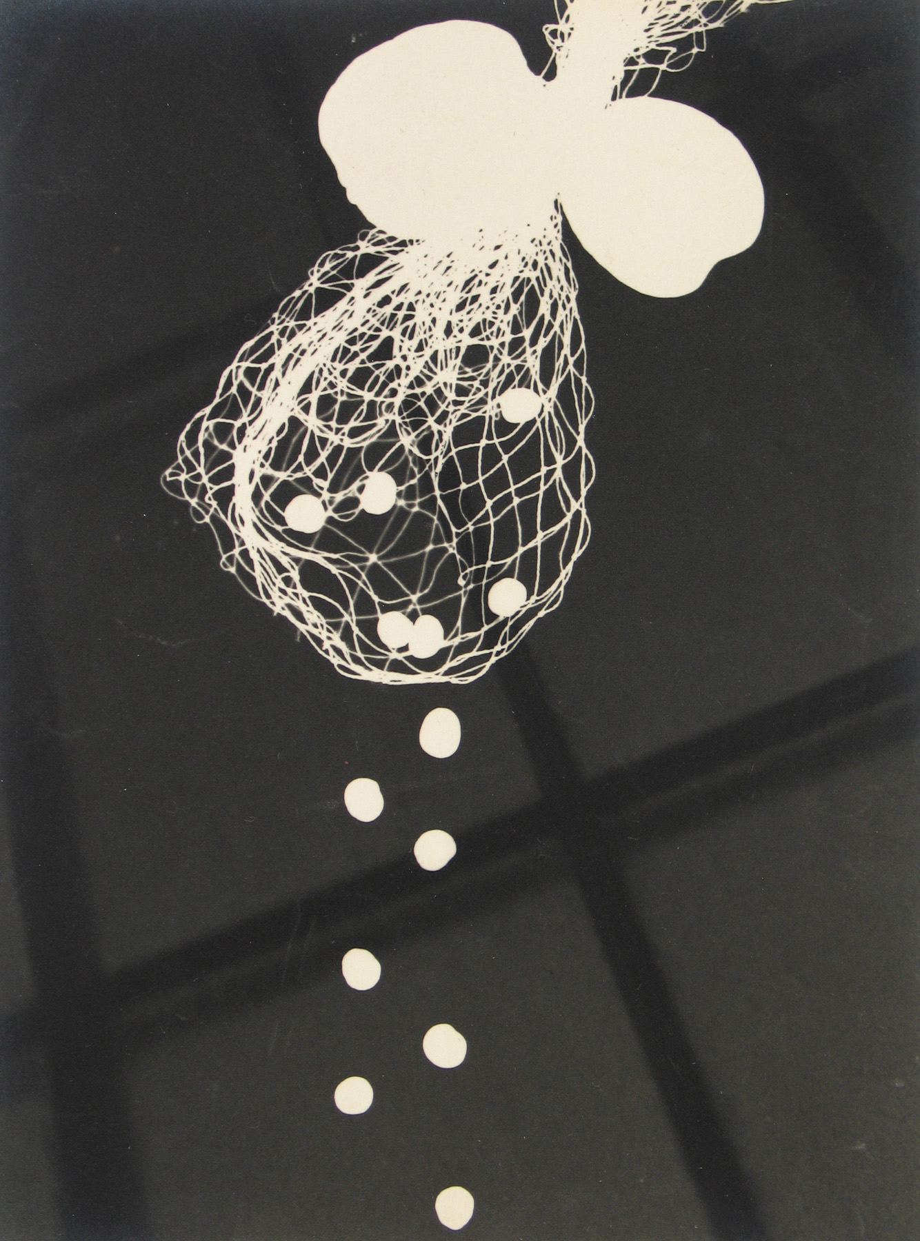 Czech Vision 2007 Howard Greenberg Gallery