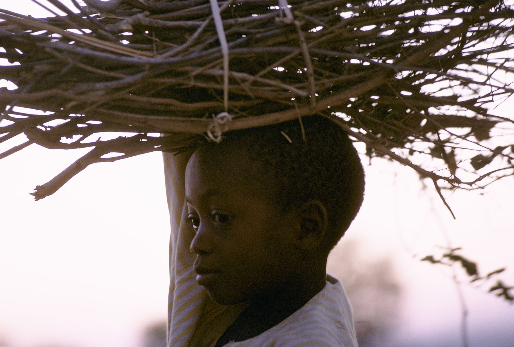 Africa, 1963 Chromogenic print 13 1/2 x 19 7/8 inches