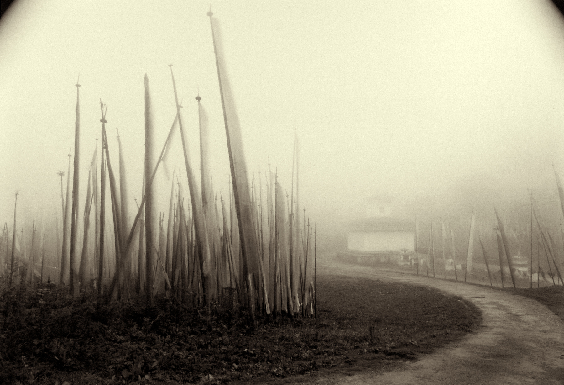 Selections from Gallery Inventory 2012 Howard Greenberg Gallery