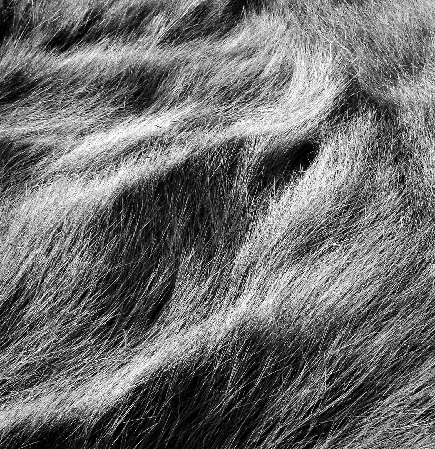 A Cool Breeze - Howard Greenberg Gallery - 2016