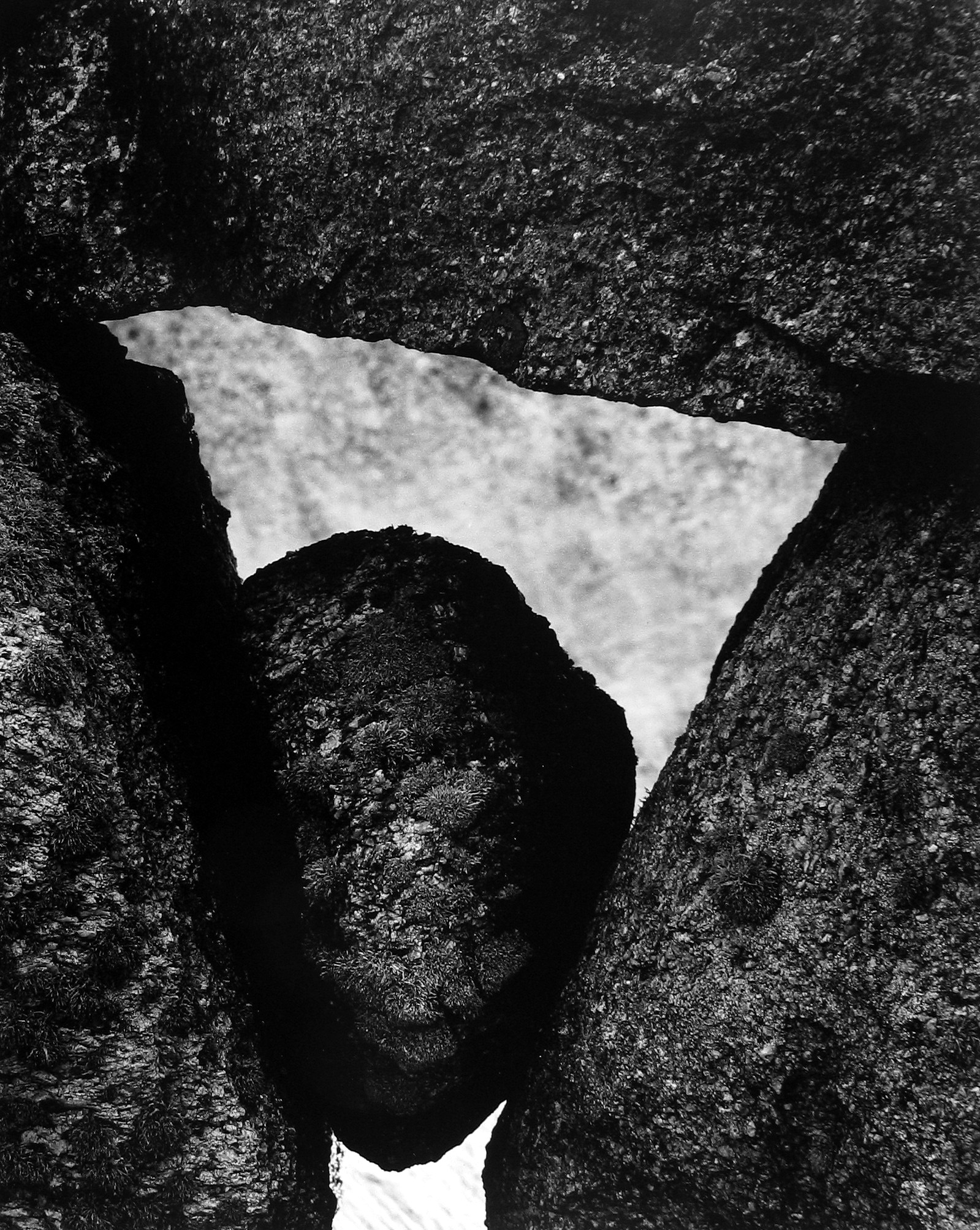 Howard Greenberg Gallery 2017 aaron siskind