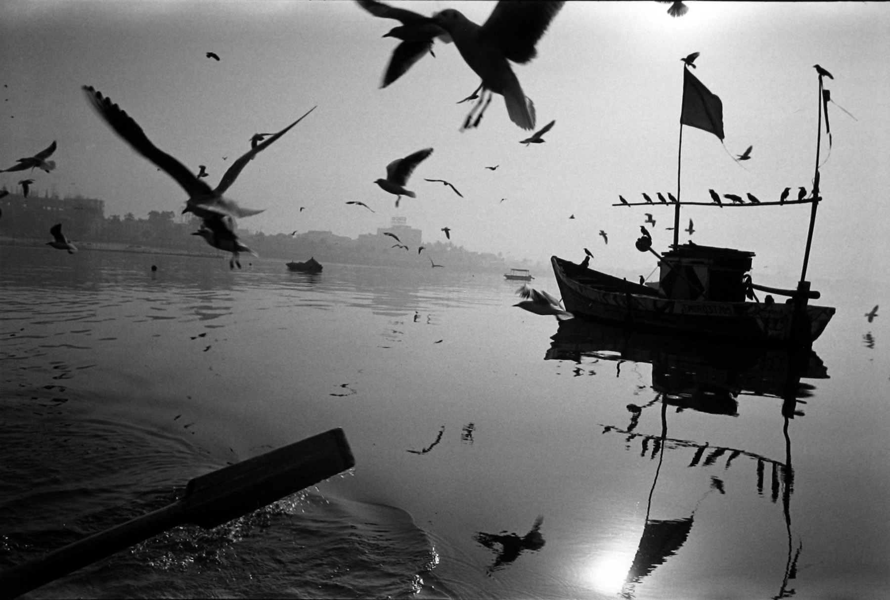 Betsy Karel: Bombay Jadoo 2009 Howard Greenberg Gallery