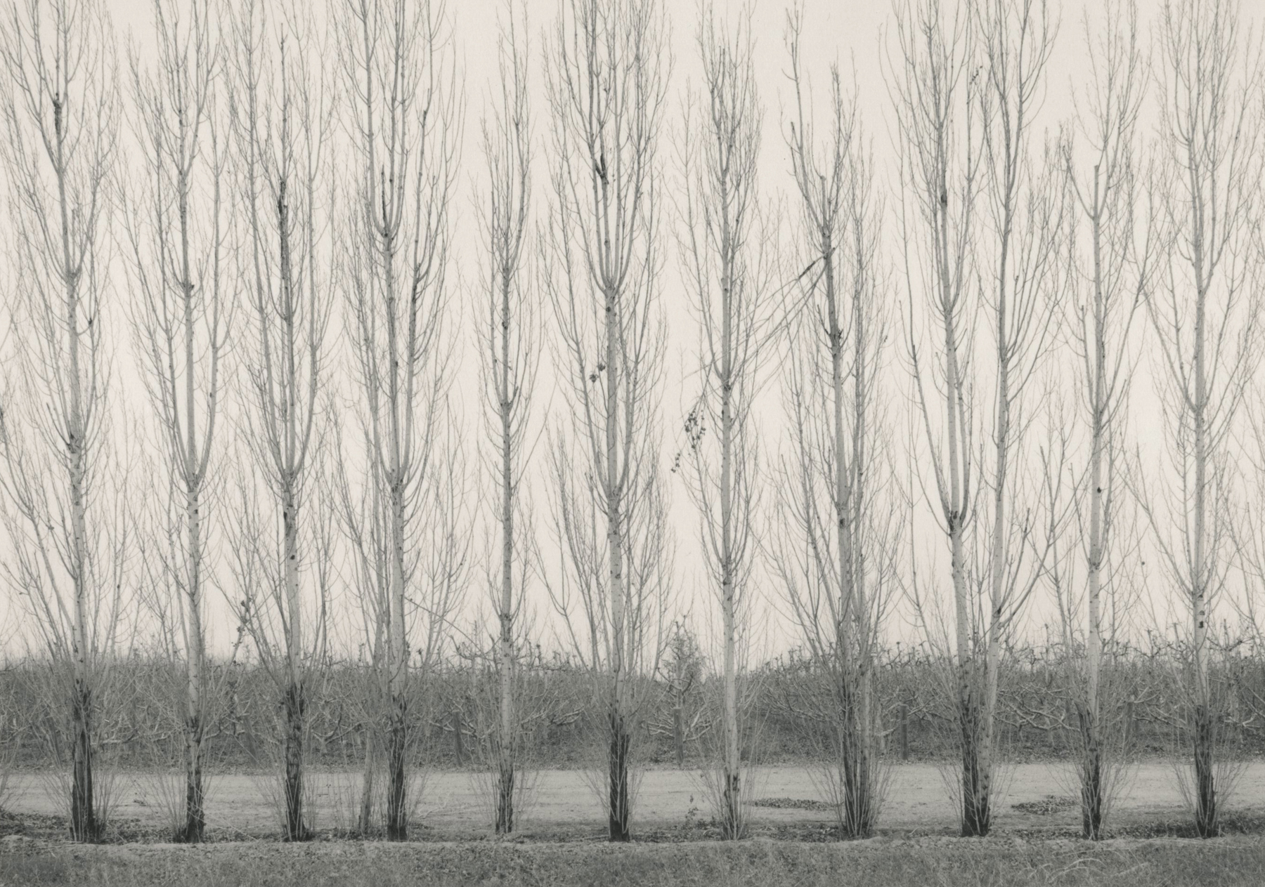 Land Lines - Howard Greenberg Gallery - 2015