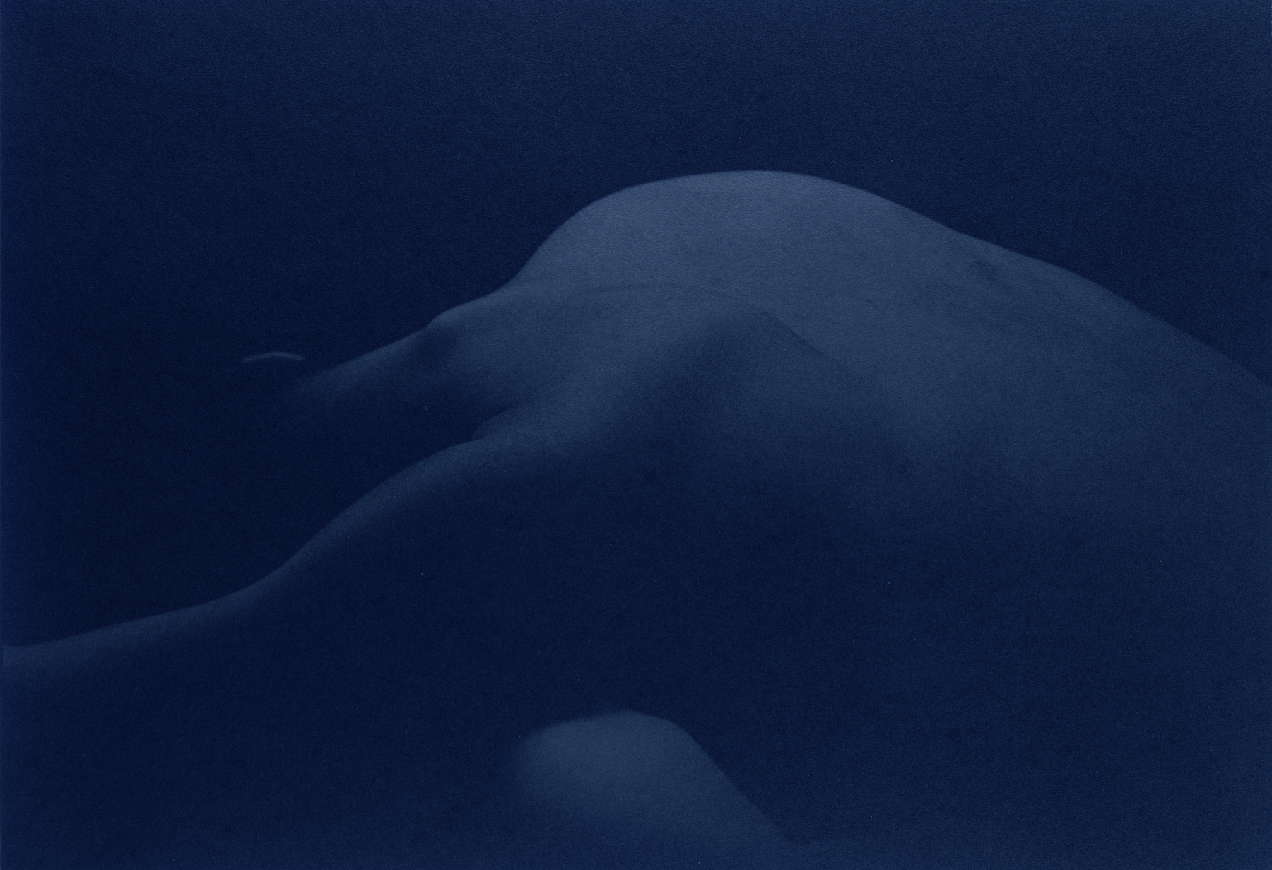 Kenro Izu: Blue 2004 Howard Greenberg gallery