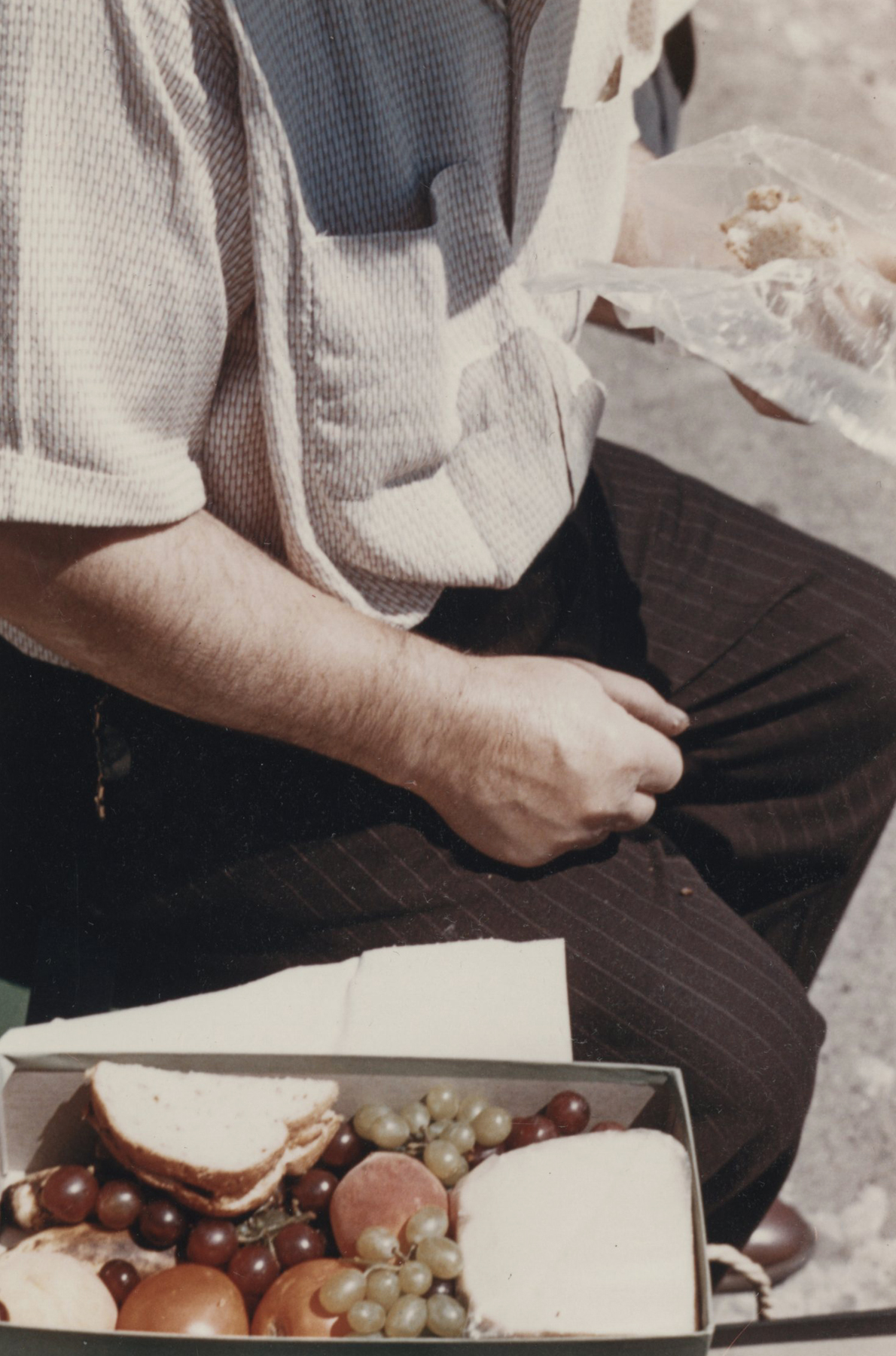 Vivian Maier - In Her Own Hands - Howard Greenberg Gallery - 2014 - 2015