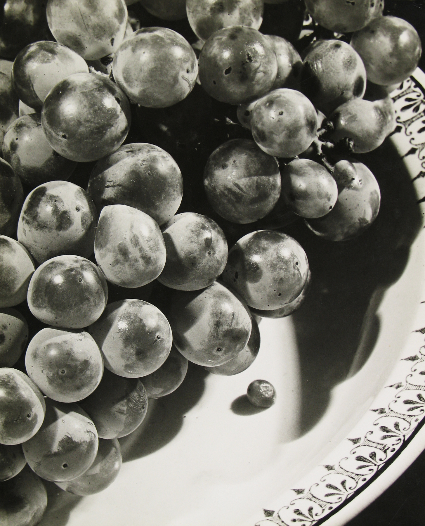 Staff Picks VI - Howard Greenberg Gallery - 2017