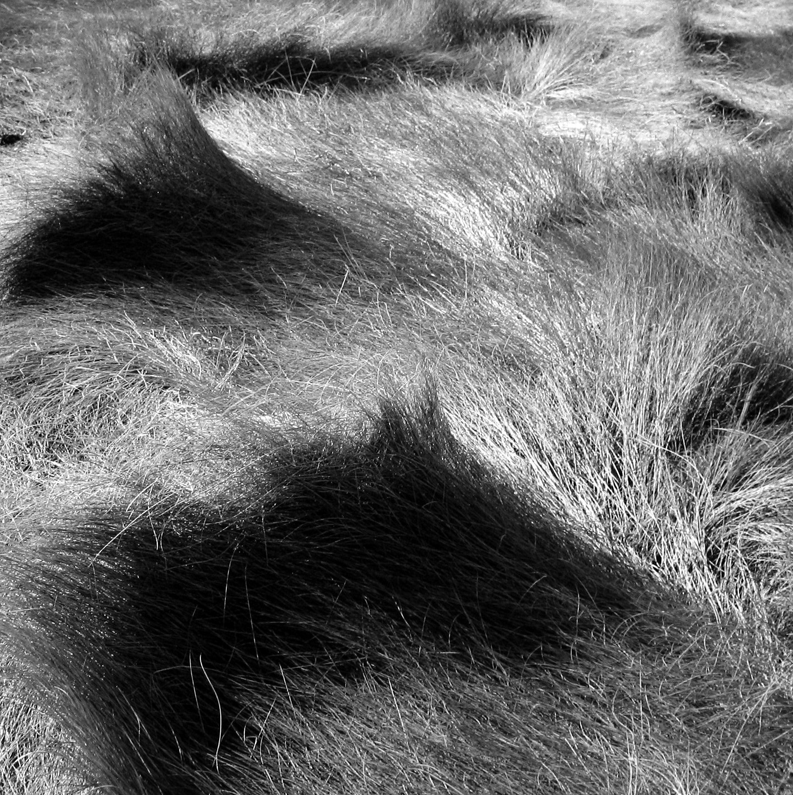 A Cool Breeze - Howard Greenberg Gallery - 2016