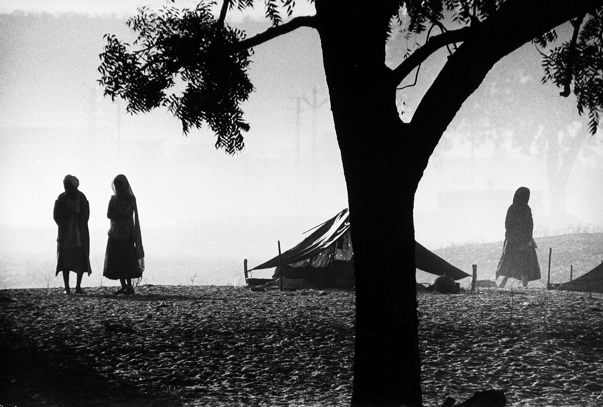 Sacred Sight: Photographs in India 2009 Howard Greenberg Gallery