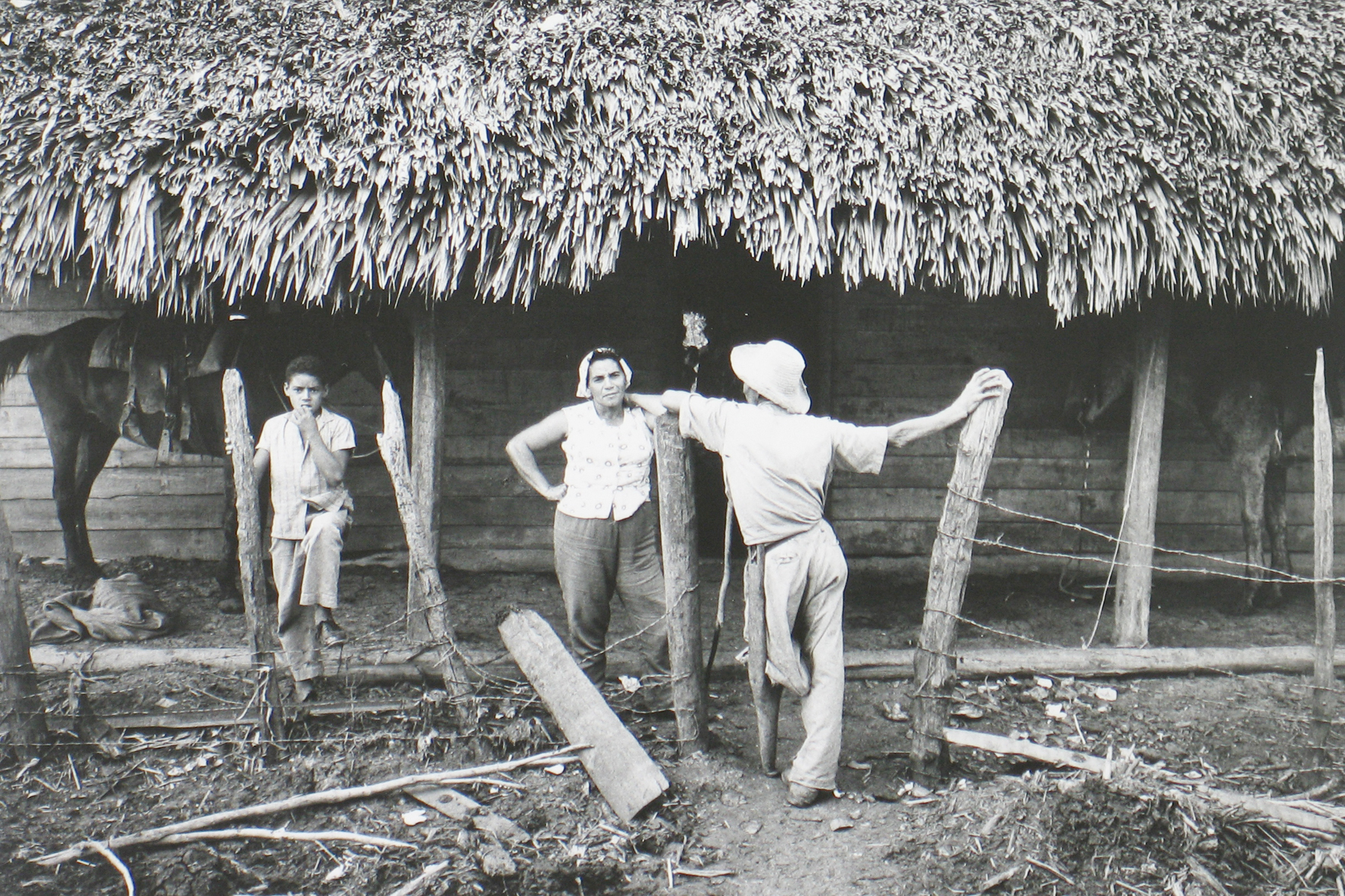 Marc Riboud: Home on the road 2008 Howard Greenberg Gallery