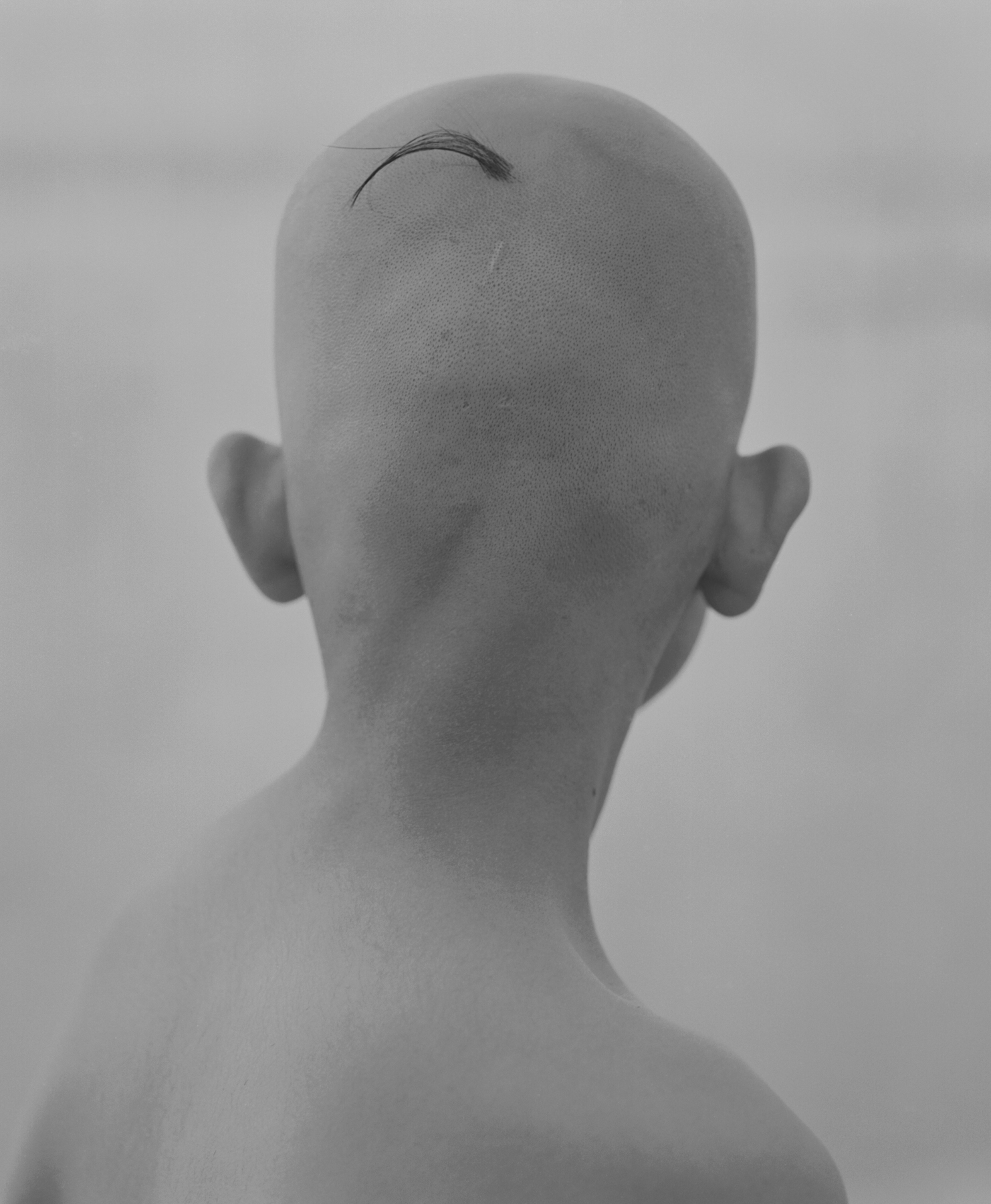 Kenro Izu: Eternal Light, Howard Greenberg Gallery, 2017