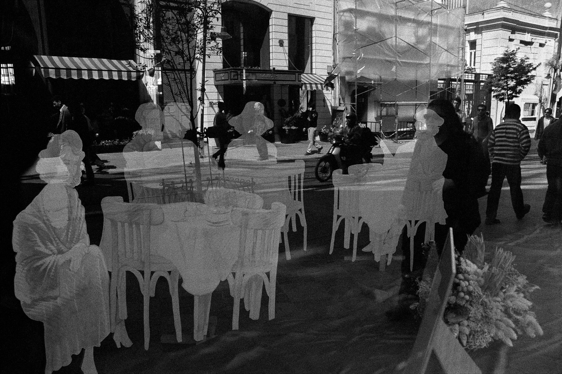 Upon Reflection Photographs by Judy Glickman Lauder Howard Greenberg Gallery 2017