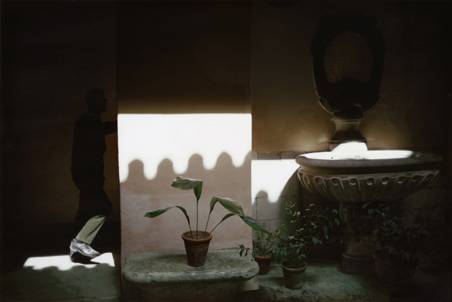 Joel Meyerowitz - 50 Years of Photographs Part I: 1962 - 1977 2012 Howard Greenberg Gallery