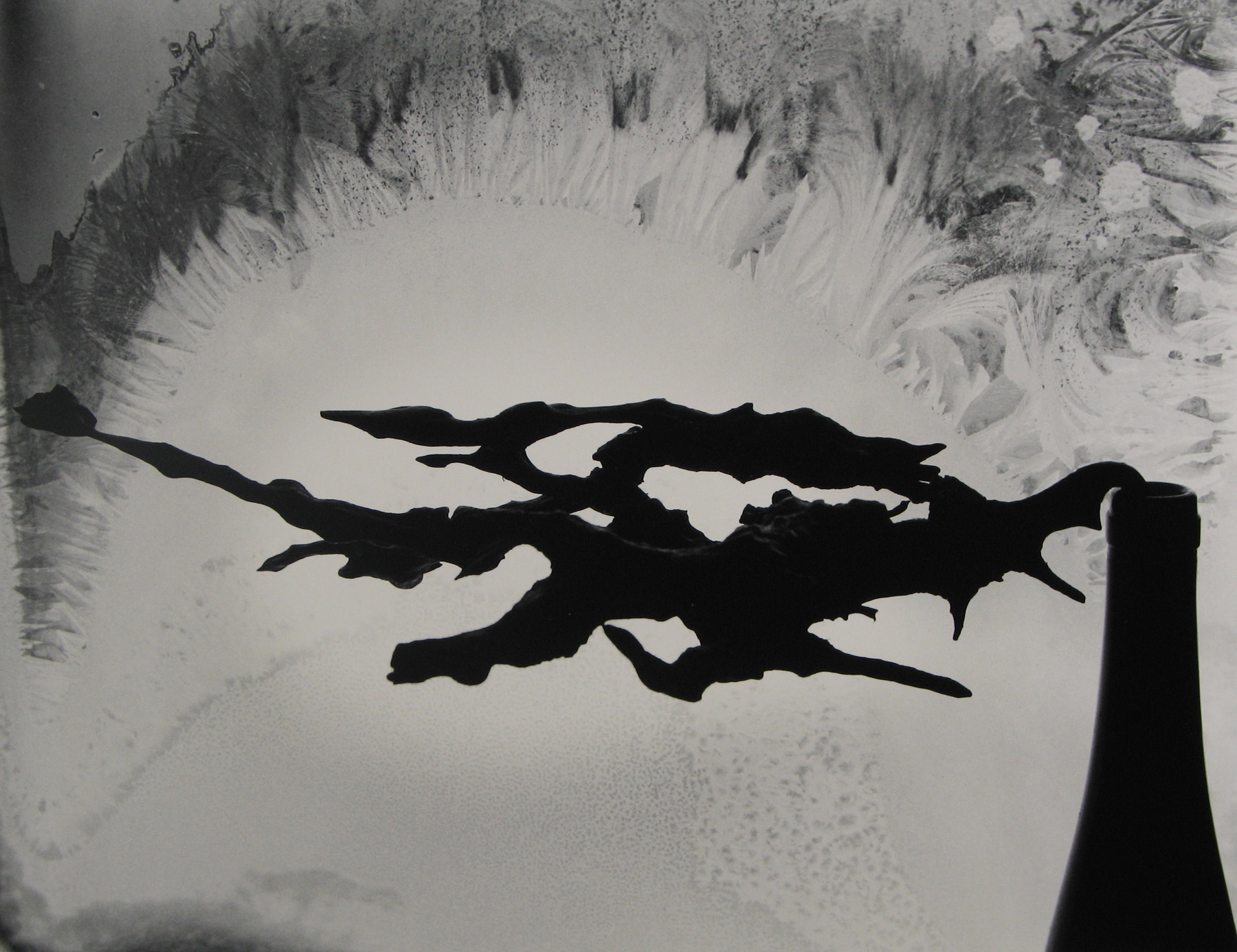 Minor White: Eye Mind Spirit 2008 Howard Greenberg Gallery