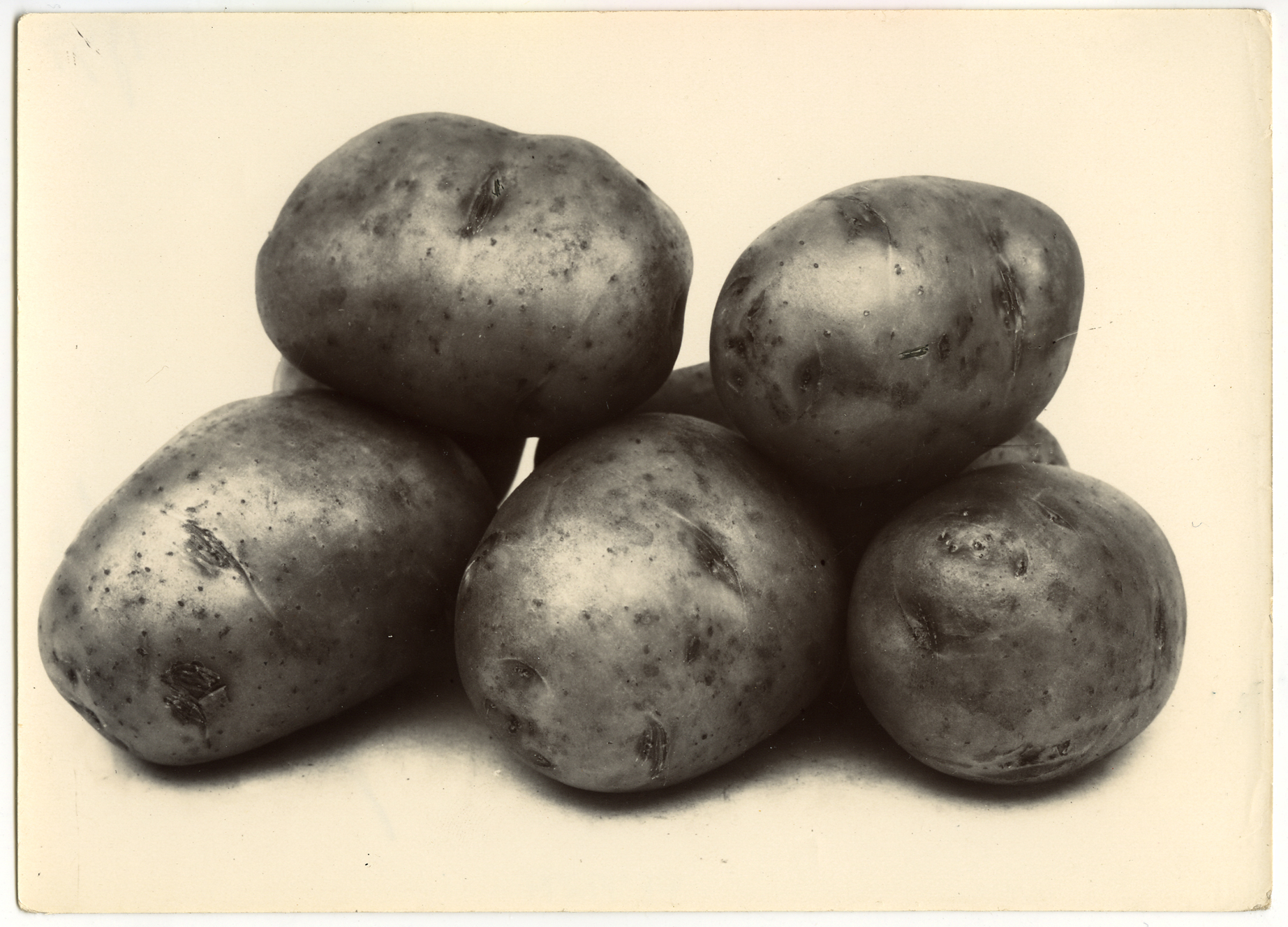 Charles Jones 2006 howard greenberg gallery