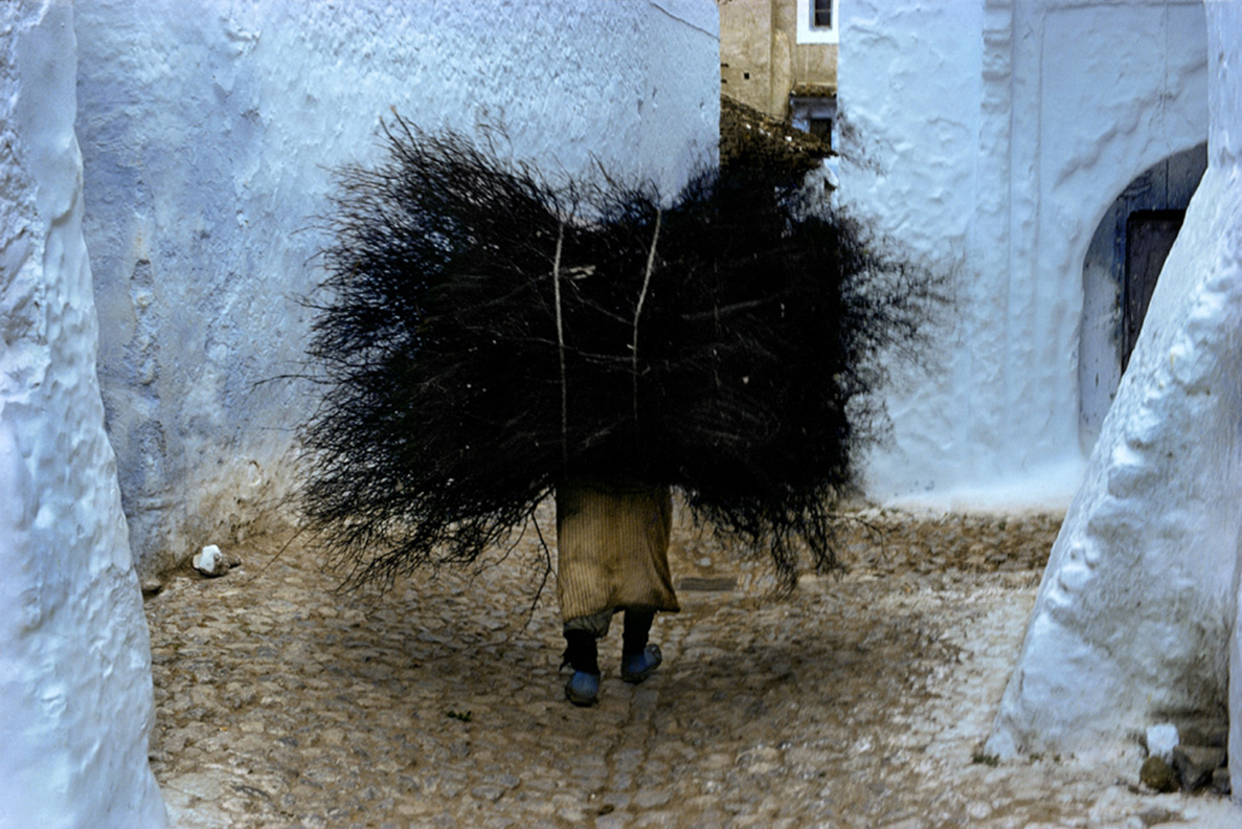 Harry Gruyaert, Rif, Morocco, 1987, Howard Greenberg Gallery, 2019