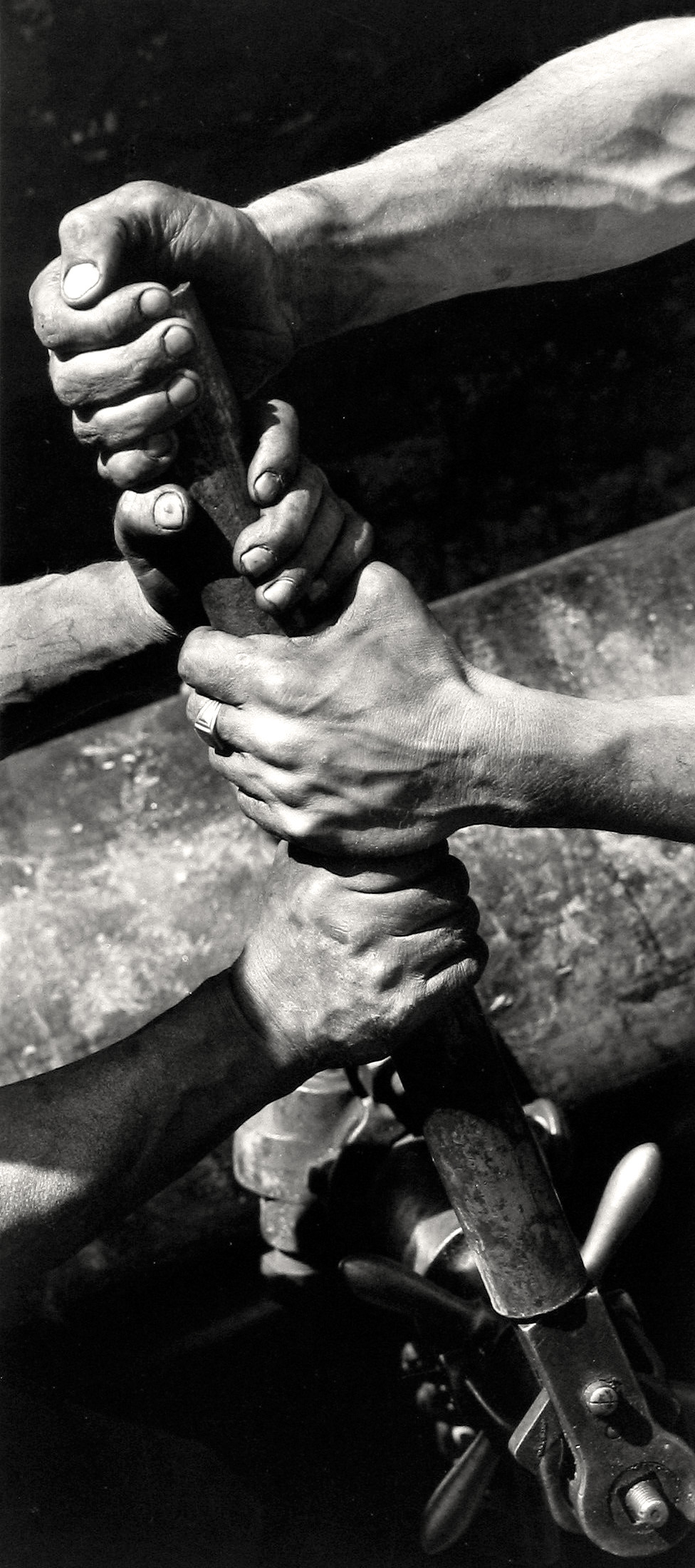 The Immigrants, Howard Greenberg Gallery, 2017