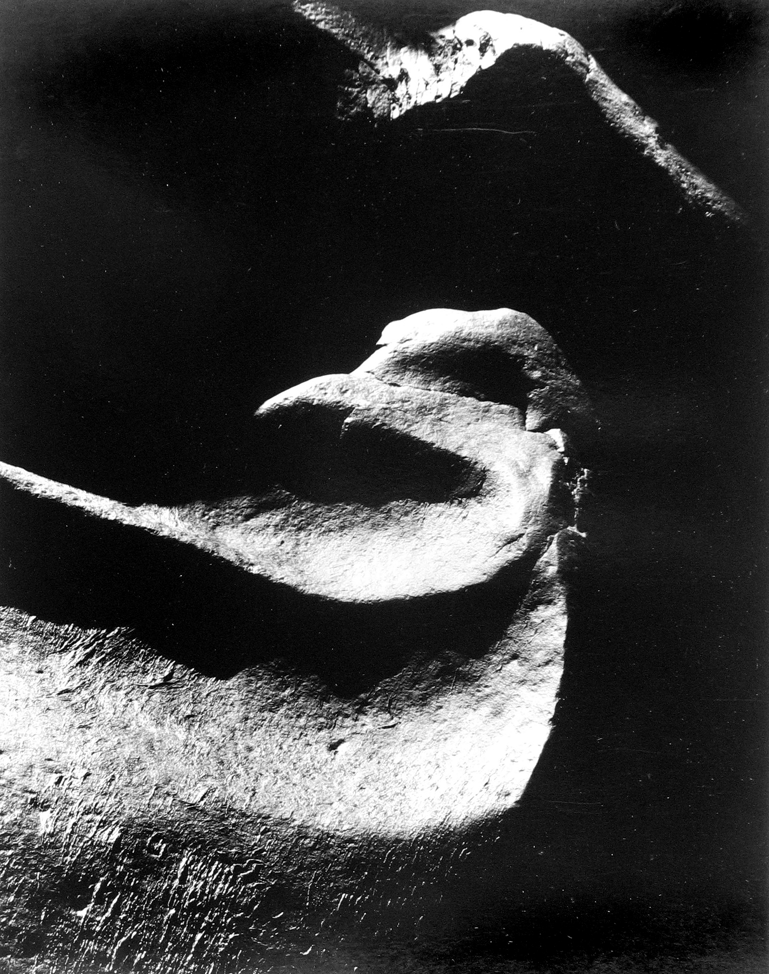 Minor White: Eye Mind Spirit 2008 Howard Greenberg Gallery