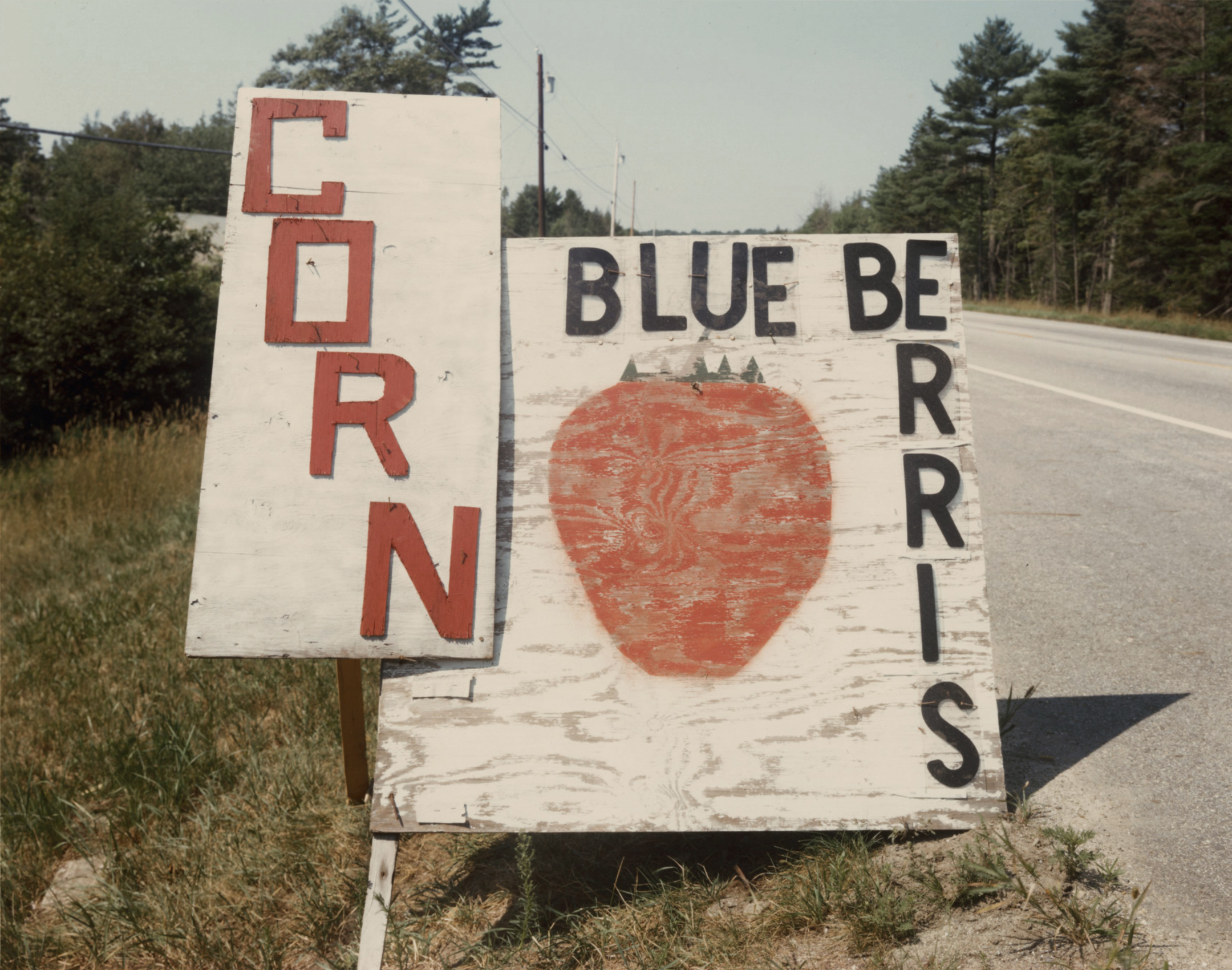 Joel Meyerowitz - 50 Years of Photographs Part II: 1976 - 2012 2012 Howard Greenberg Gallery
