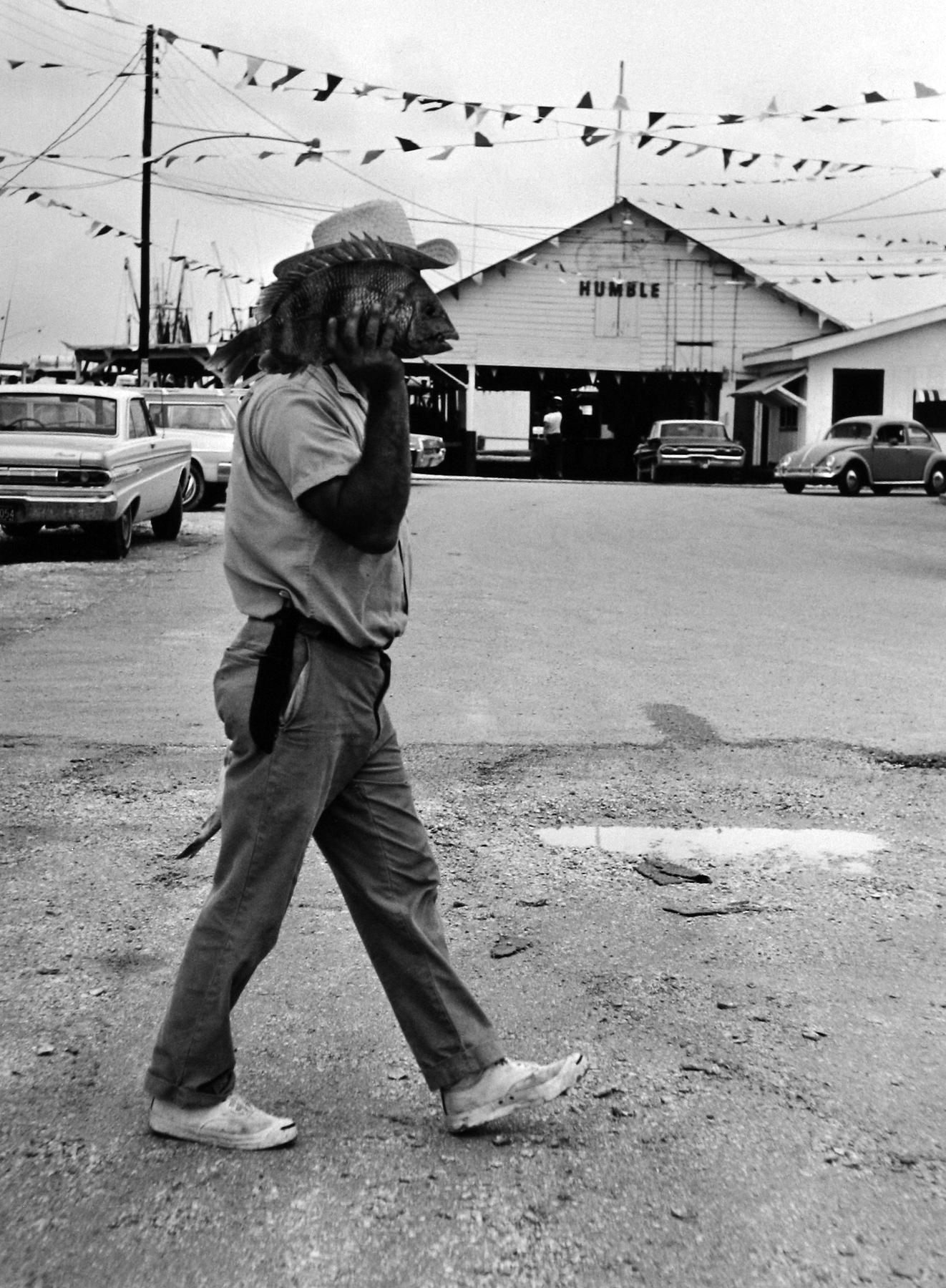 Dennis Stock: Altered States 2009 Howard Greenberg Gallery