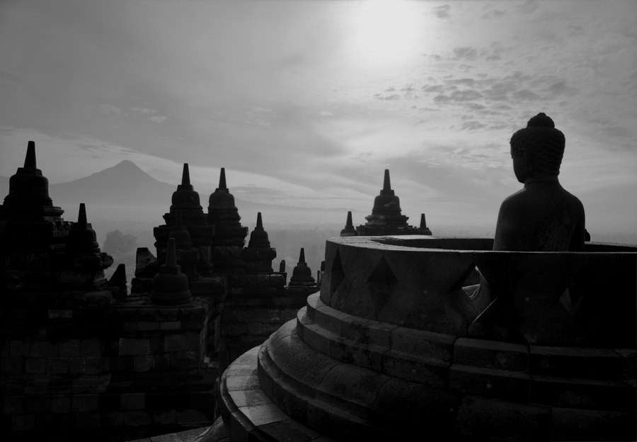 Kenro Izu: Stillness 2007 2008 Howard Greenberg Gallery