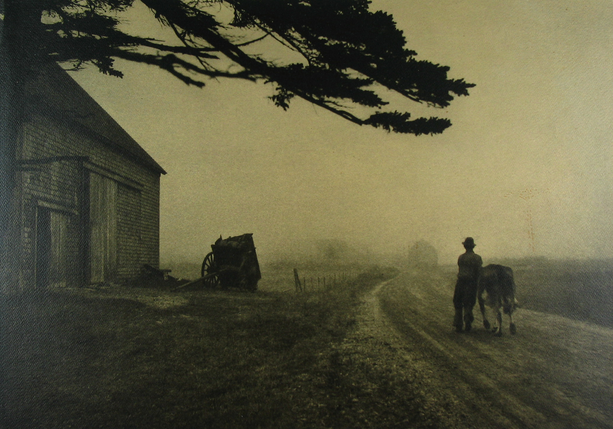 Staff Picks 2010 Howard Greenberg Gallery