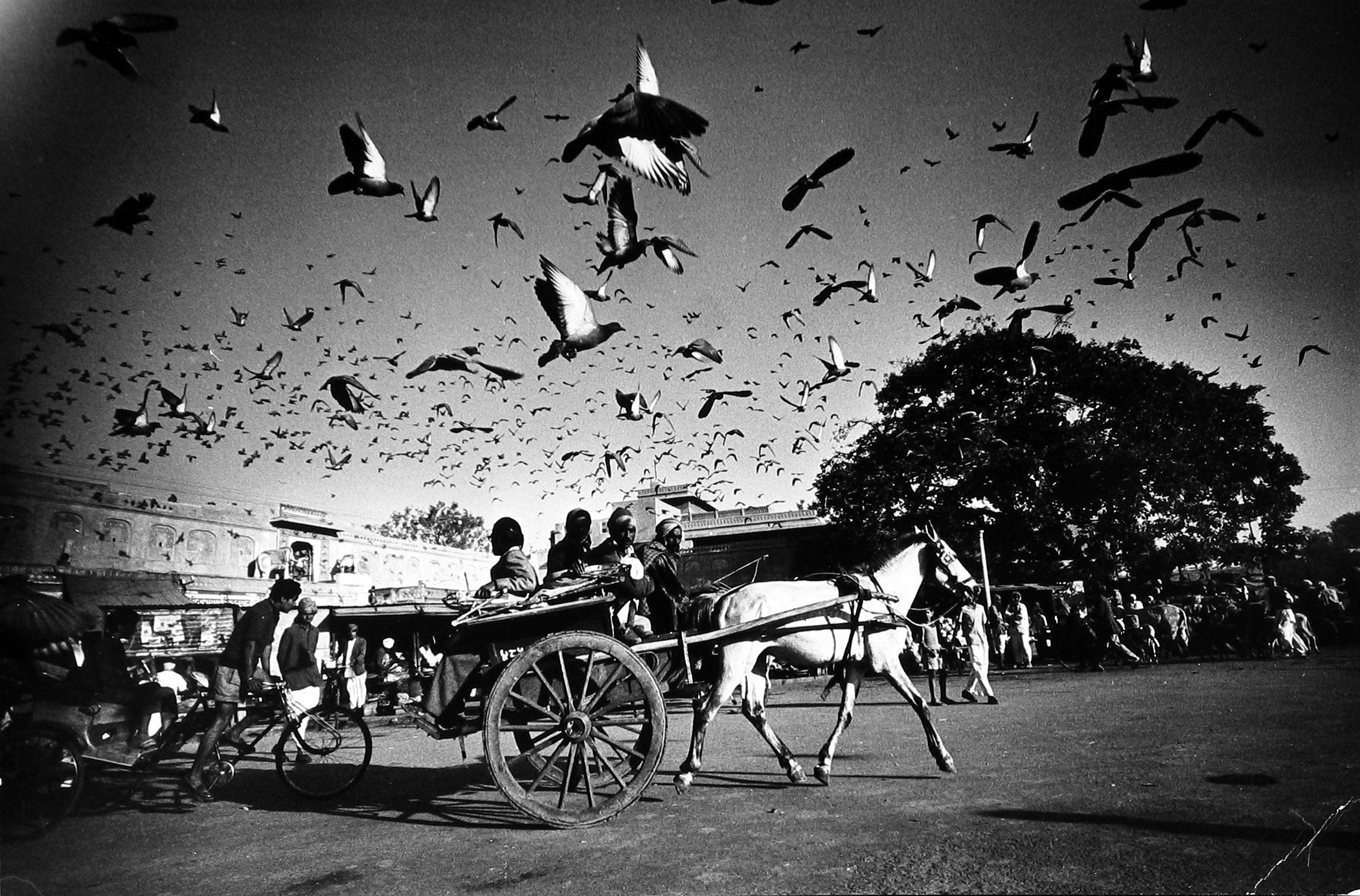 Sacred Sight: Photographs in India 2009 Howard Greenberg Gallery