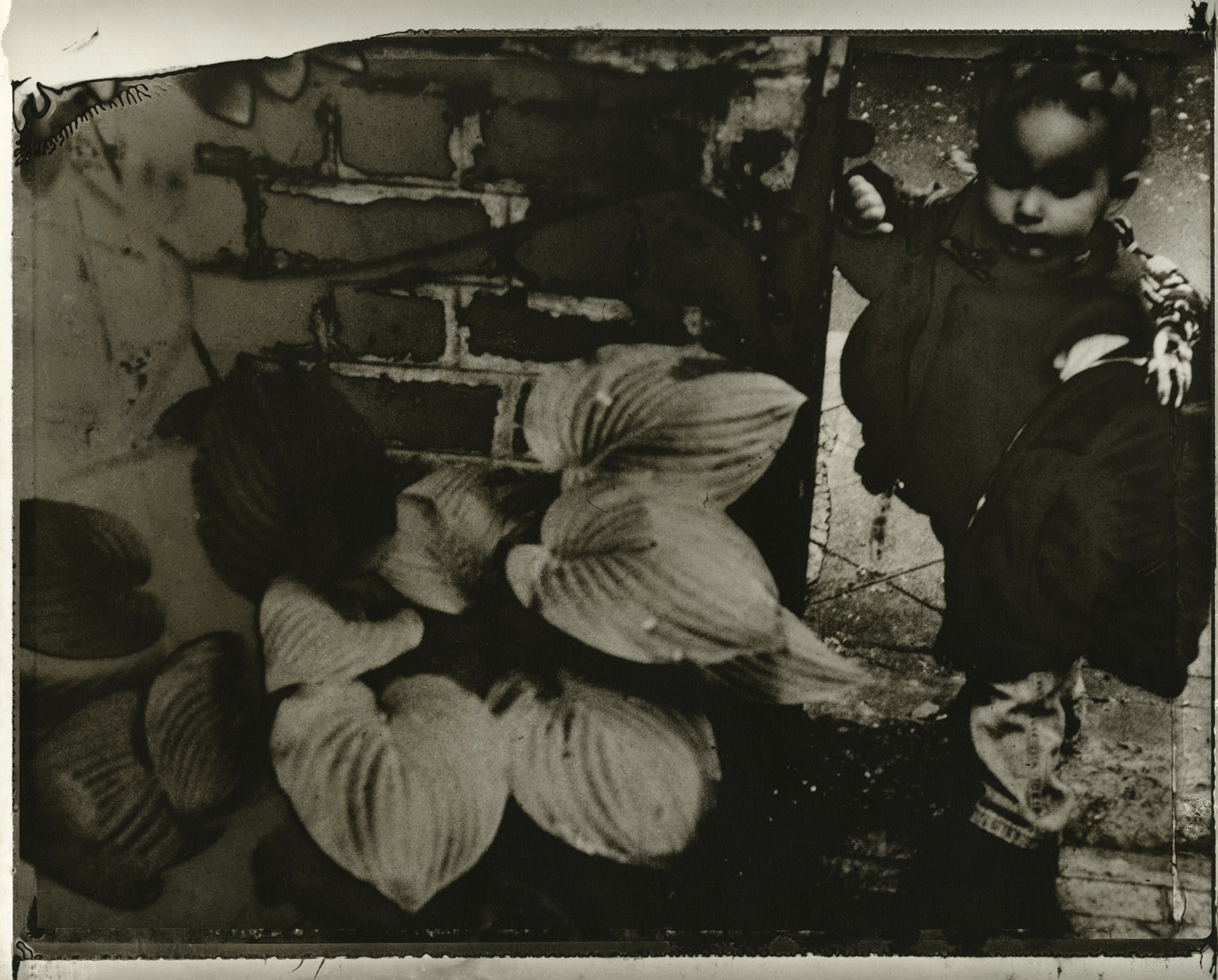 Sarah Moon: Now and Then 2012 Howard Greenberg Gallery