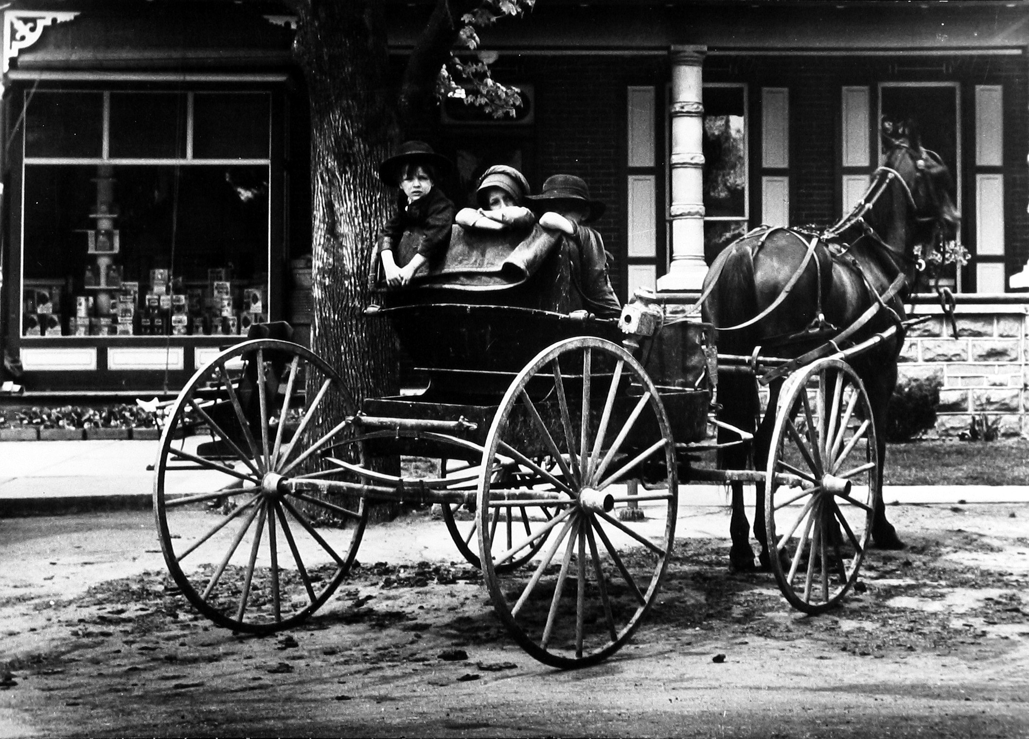 Staff Picks IV - Howard Greenberg Gallery - 2014