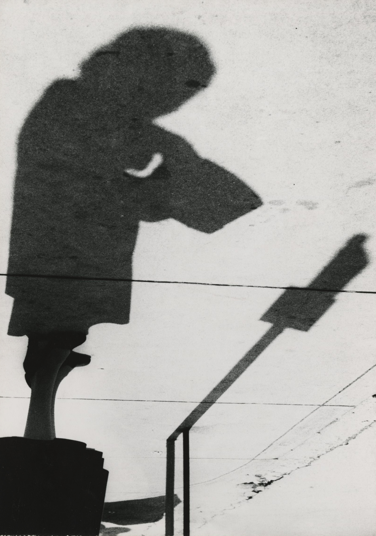 Marvin E. Newman: Sequentially Sought - Howard Greenberg Gallery - 2015