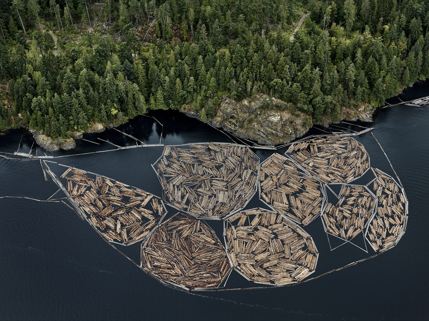 Edward Burtynsky - Log Booms #1, Vancouver Island, British Columbia, Canada 2/6, 2016 - Howard Greenberg Gallery - 2018