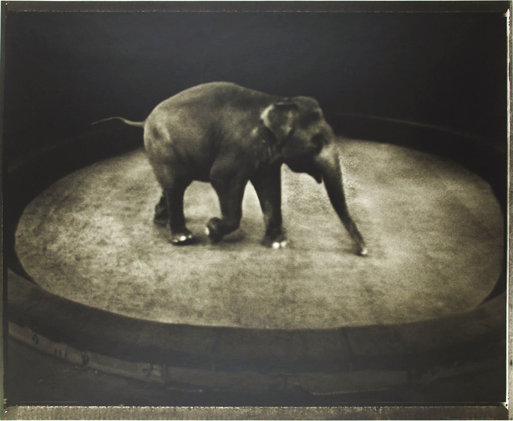 Sarah Moon: Now and Then 2012 Howard Greenberg Gallery