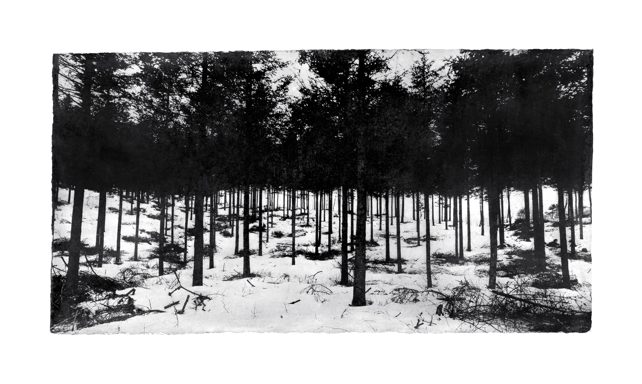 Jungjin Lee - Opening - Howard Greenberg Gallery - 2018