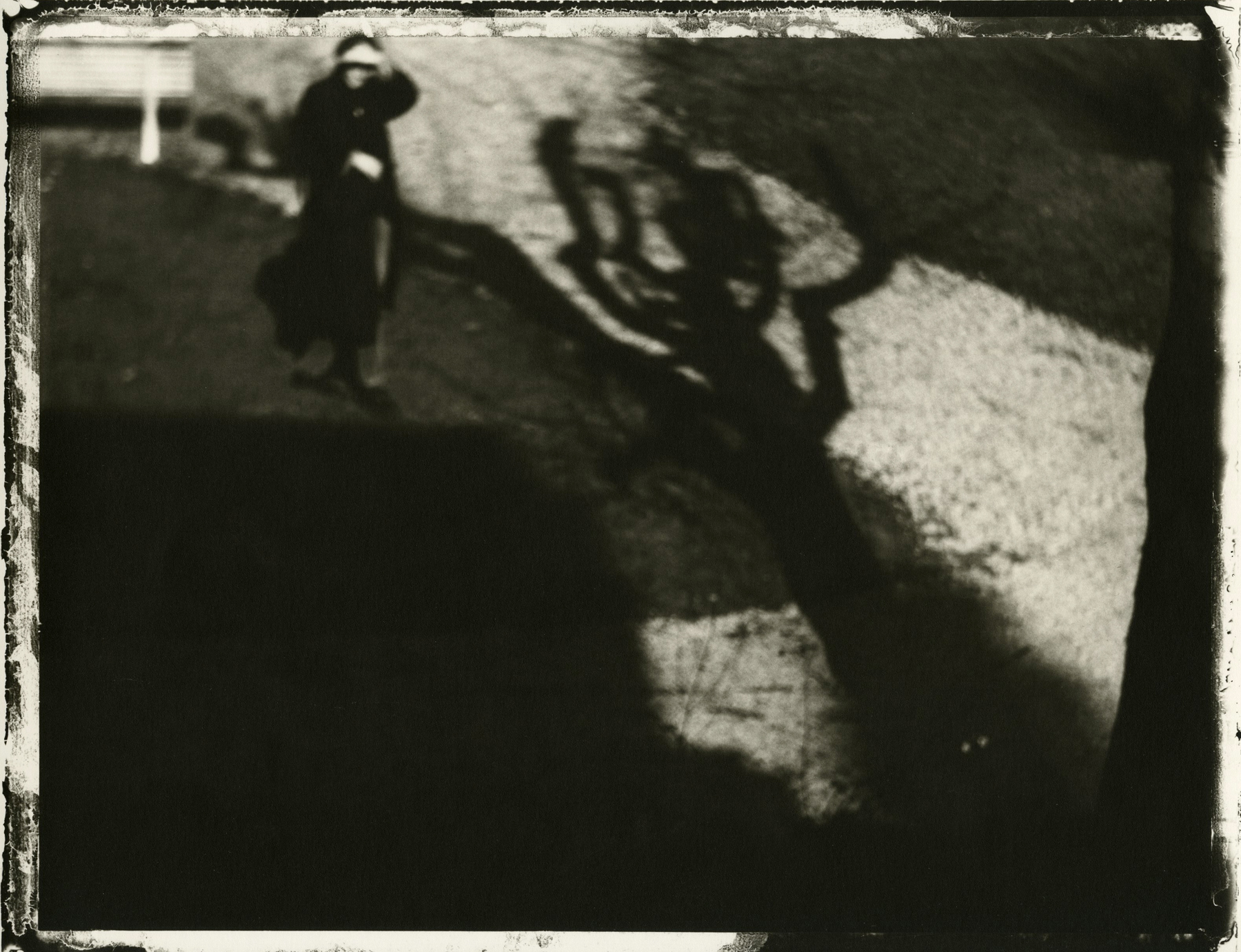 Staff Picks 2010 Howard Greenberg Gallery