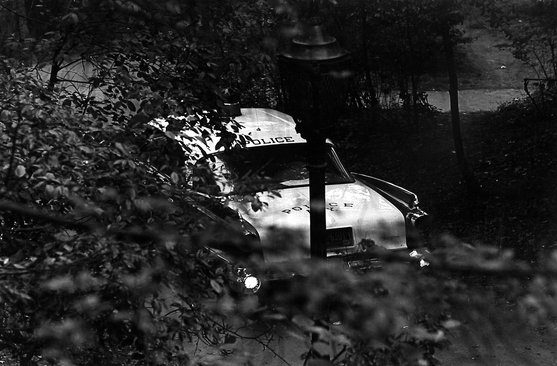 Staff Picks IV - Howard Greenberg Gallery - 2014