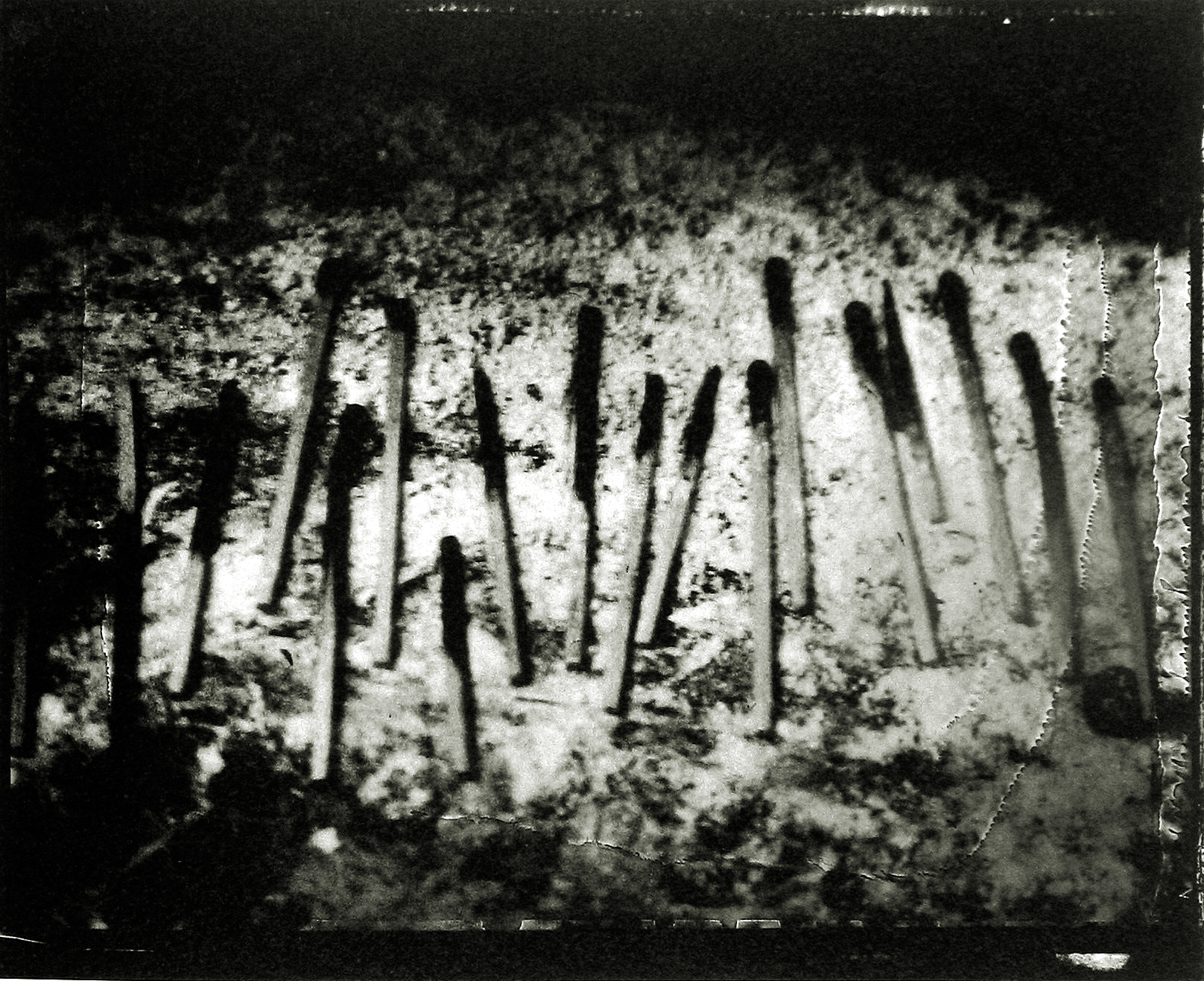 Sarah Moon: Circus 2004 2005 howard greenberg gallery