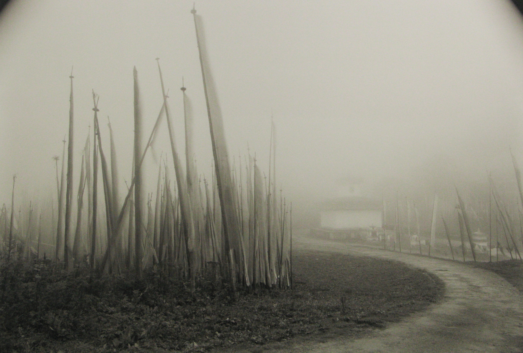 Kenro Izu: Stillness 2007 2008 Howard Greenberg Gallery