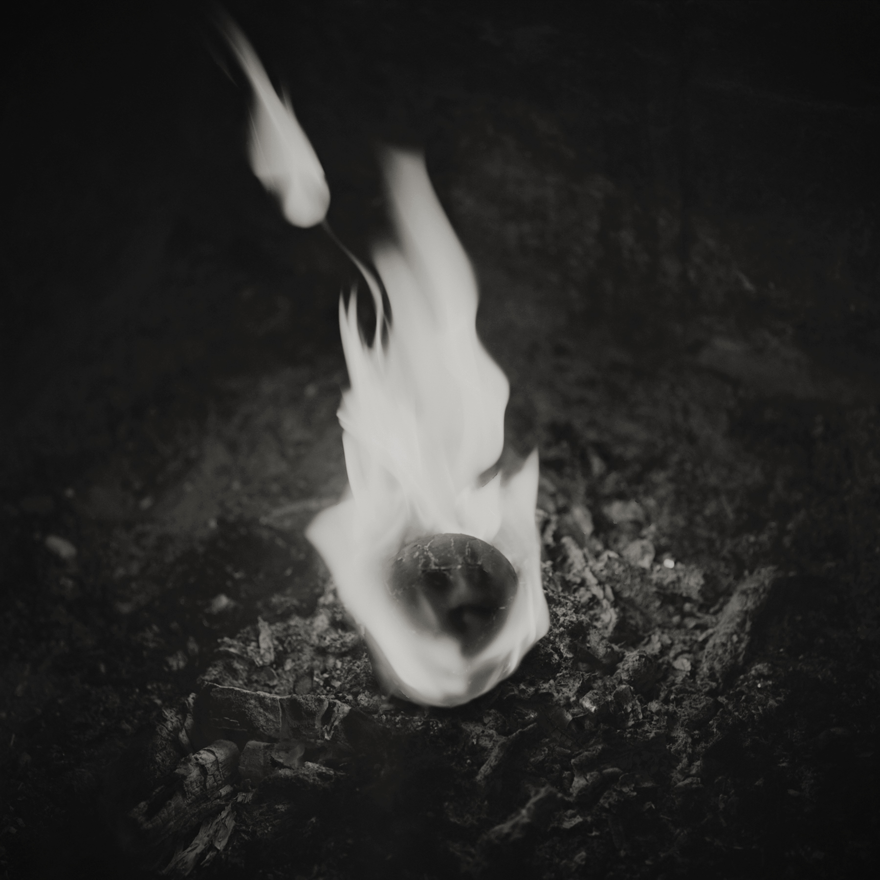 Kenro Izu: Eternal Light, Howard Greenberg Gallery, 2017