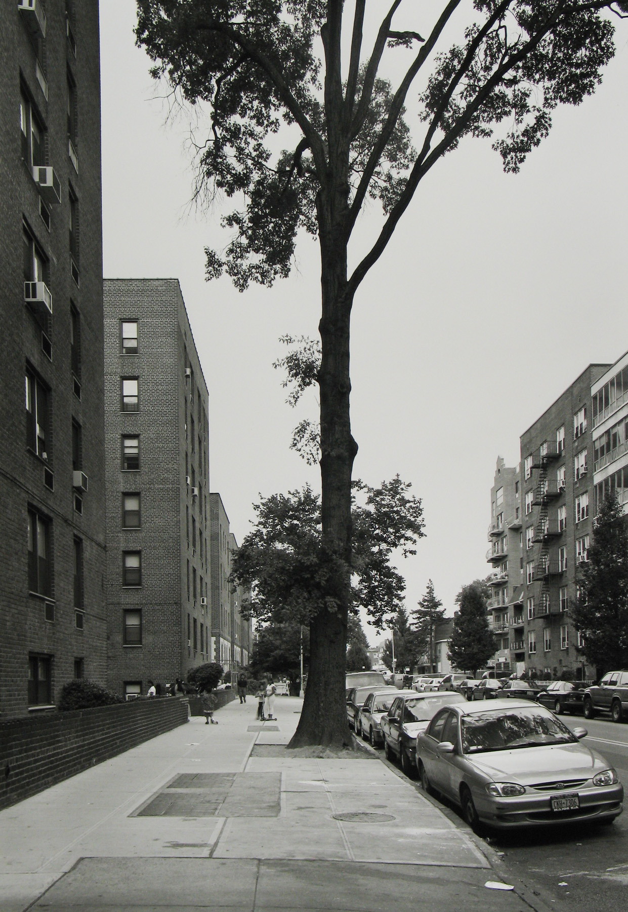 Frank Gohlke: Queens 2008 Howard Greenberg Gallery