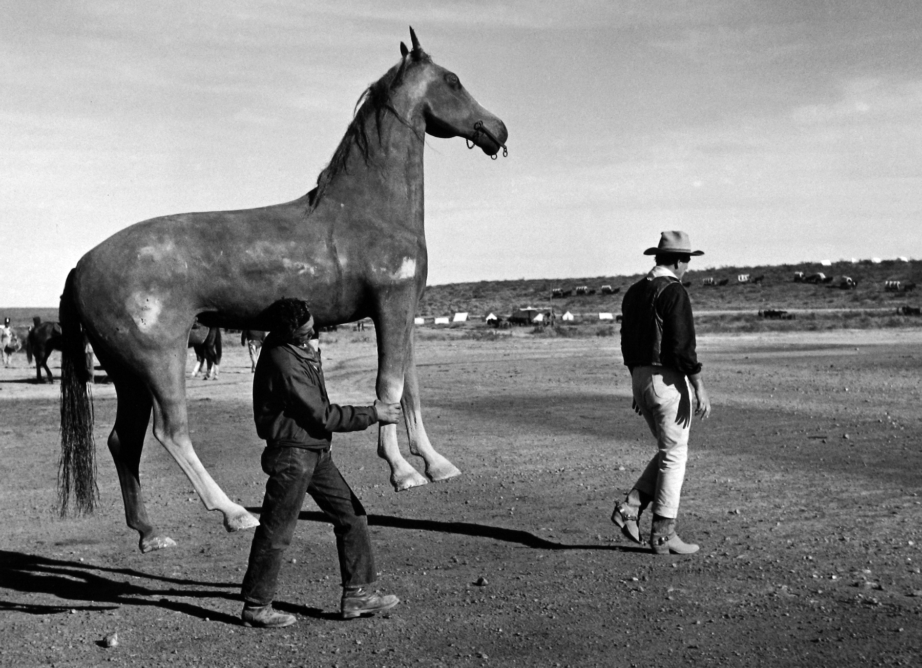 Dennis Stock: Altered States 2009 Howard Greenberg Gallery