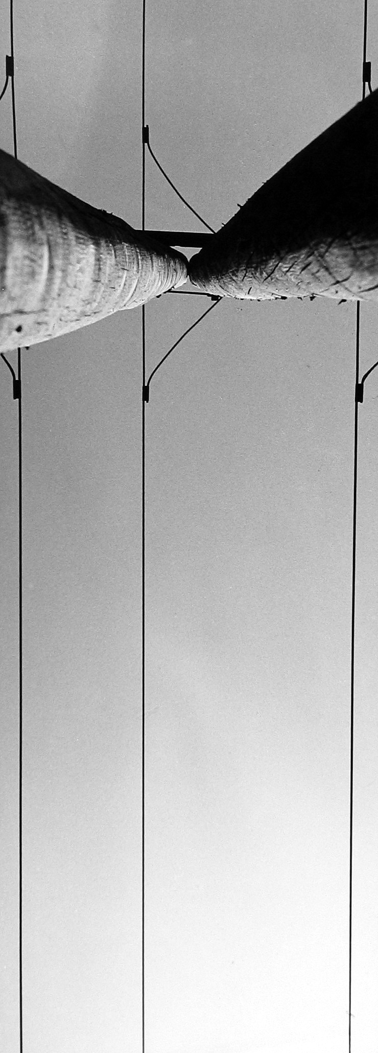 Land Lines - Howard Greenberg Gallery - 2015