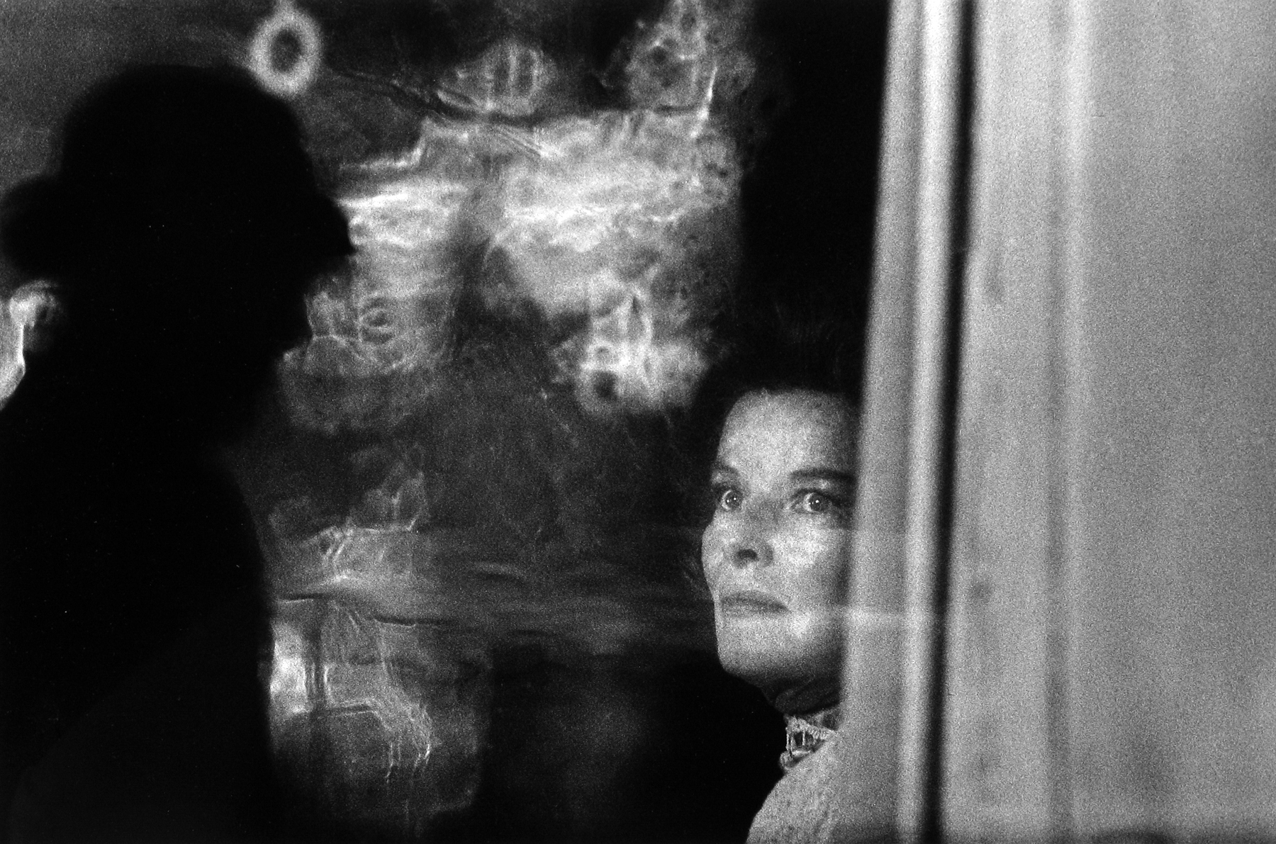 Dennis Stock: Altered States 2009 Howard Greenberg Gallery