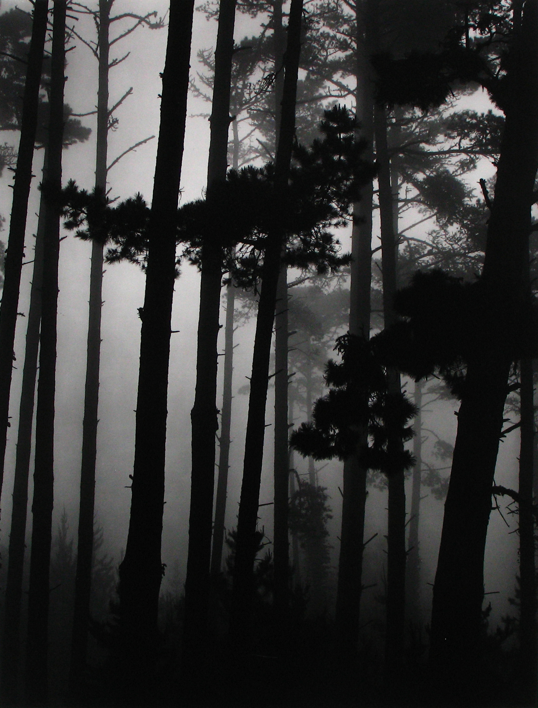 Selections From Private Collections 2011 Howard Greenberg Gallery